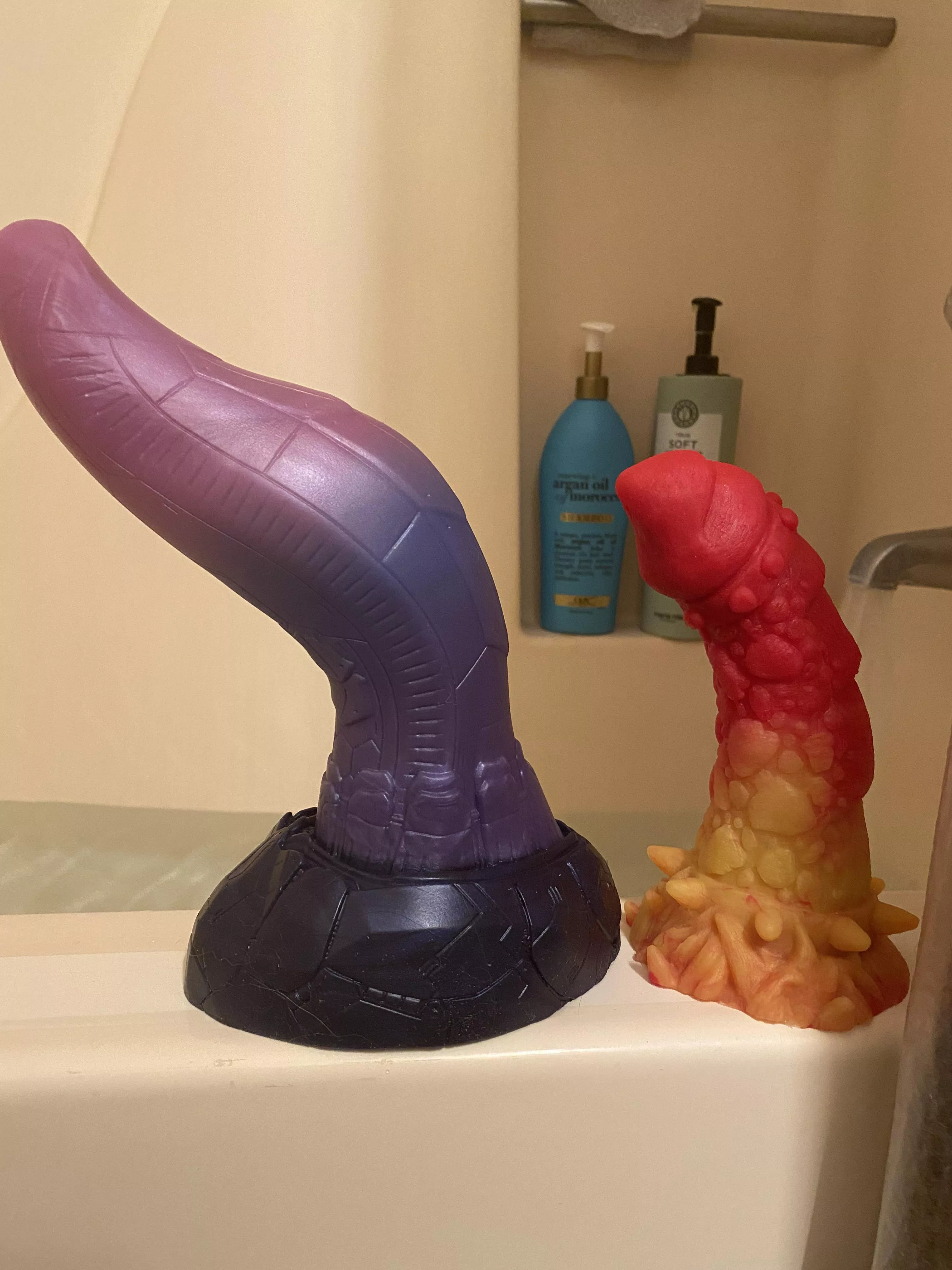 Habu was getting kinda angsty with all the grit in the house, so they’re getting a bath! :p (also size comparison, cause holy cow, Habu is a big boi) posted by DarkAngelOfAzathoth