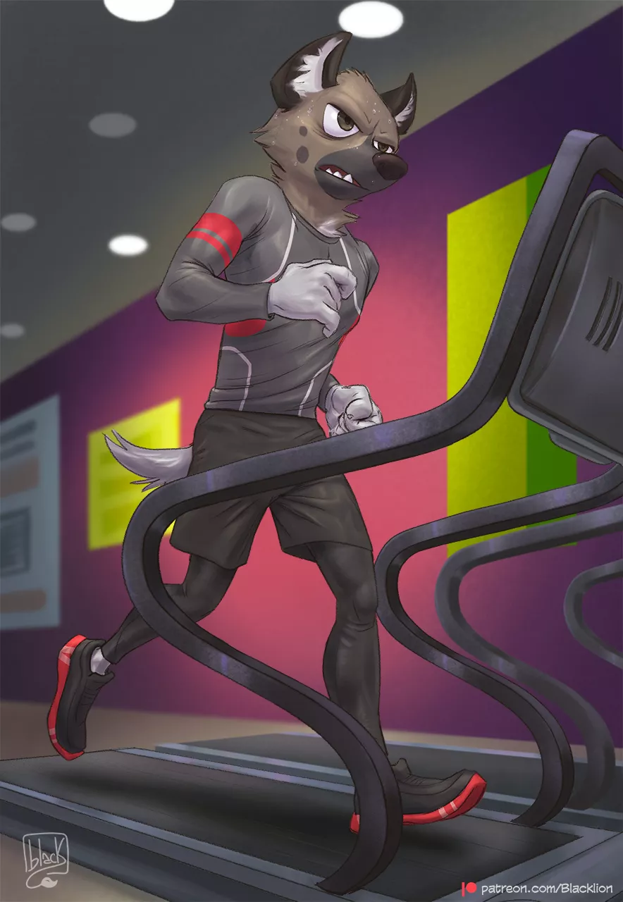 Haida Runs [Lion21] posted by DL2828