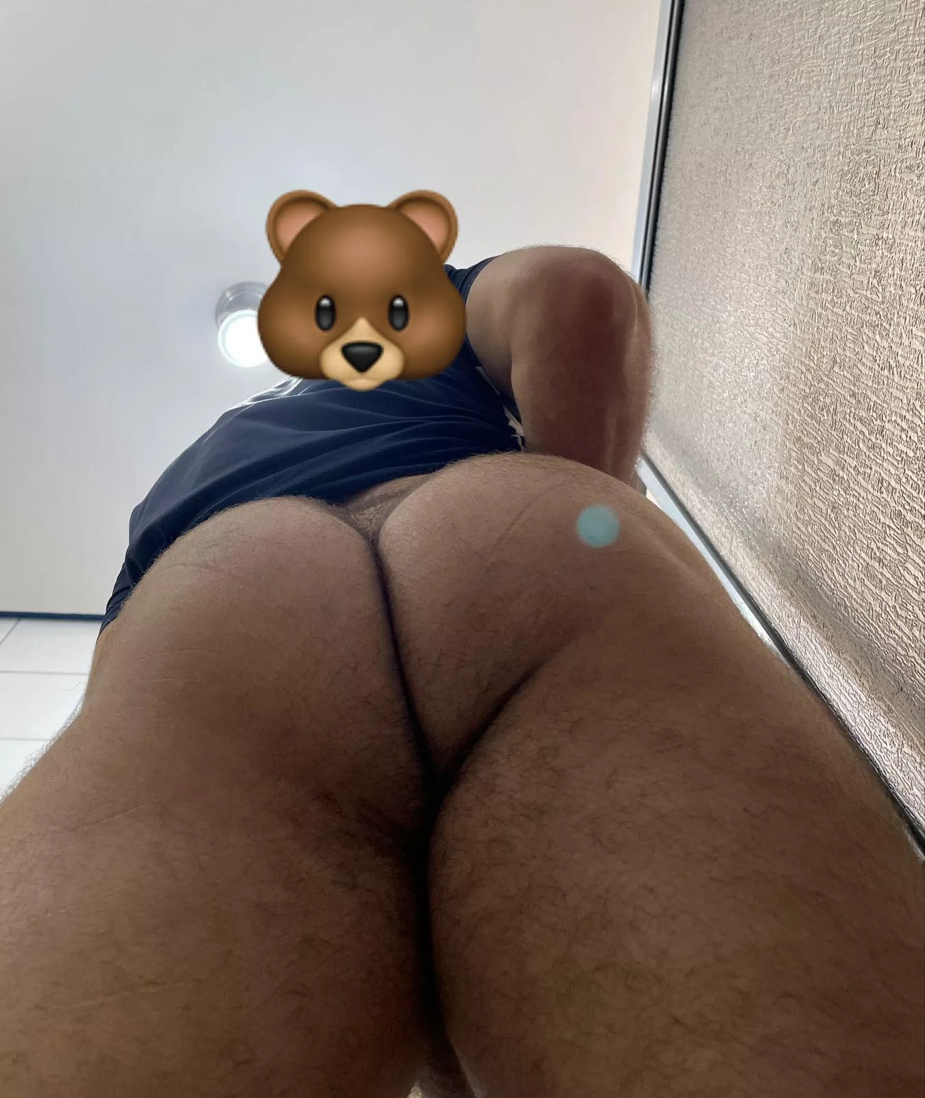 Hairy 🐻 posted by dirtypokemonfan