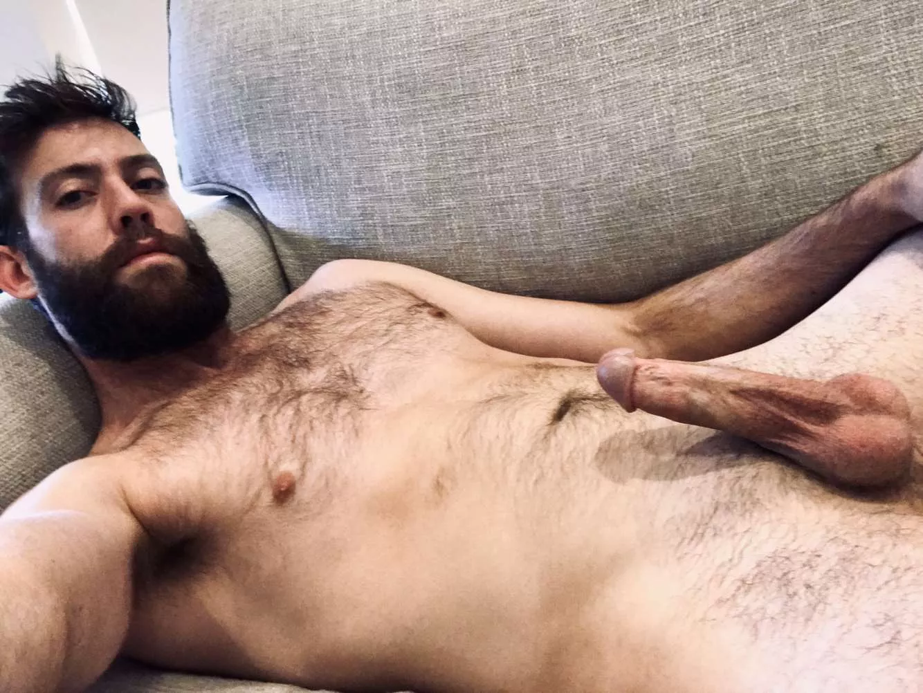 Hairy all over posted by bigbadbootybandit