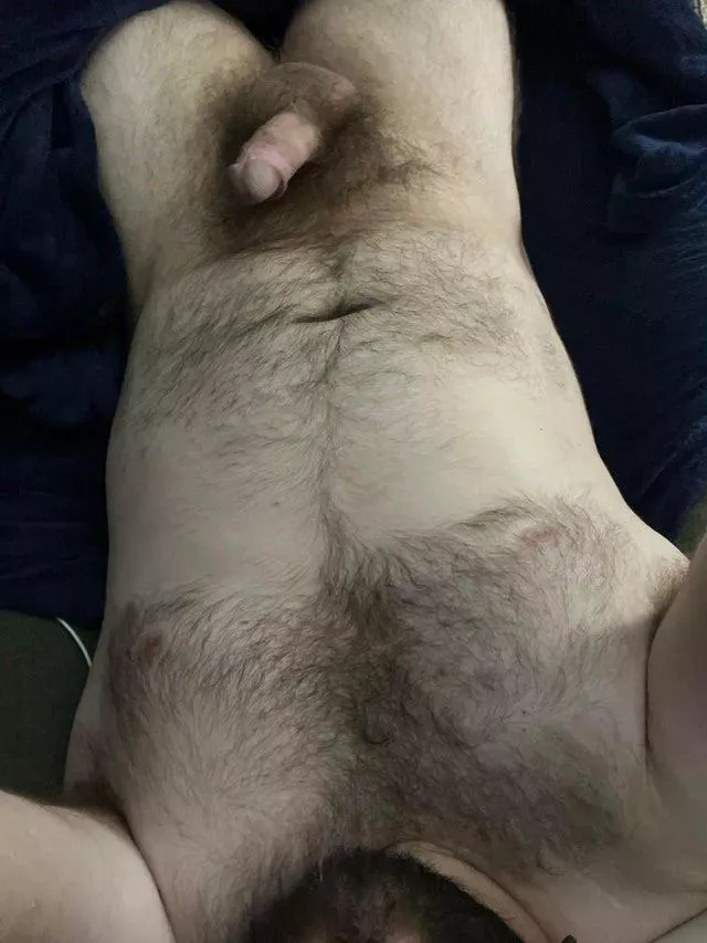 Hairy and chubby posted by Beneficial-Cabinet-5