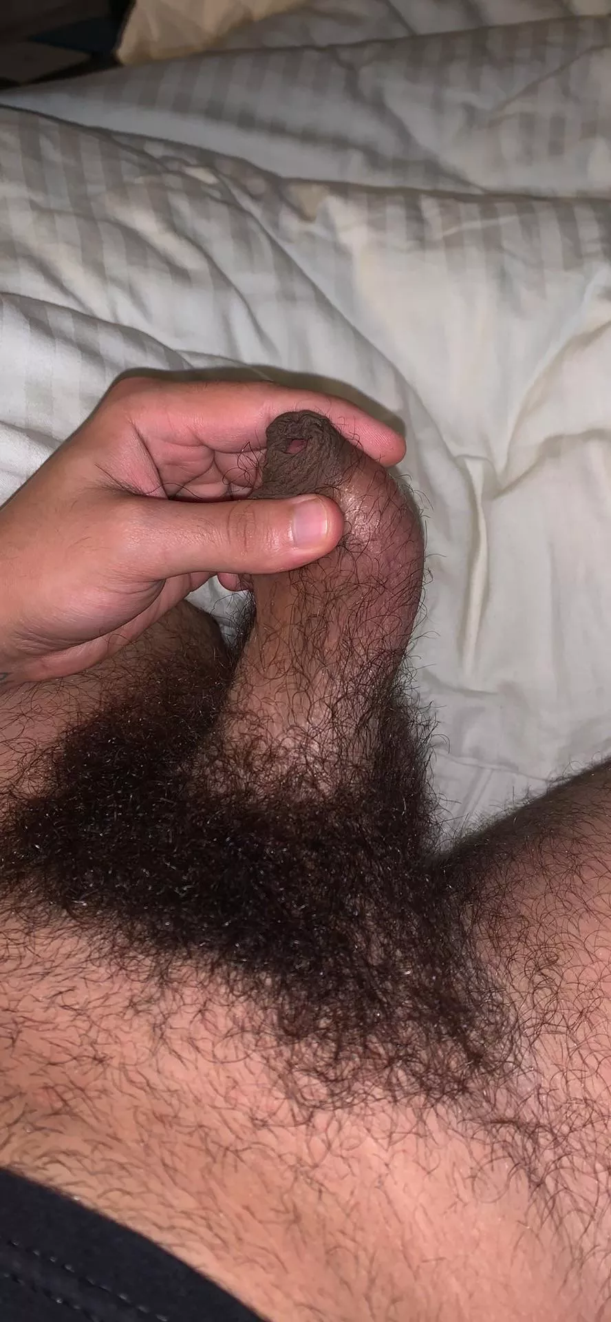 Hairy arab cock posted by Johnllee05uc