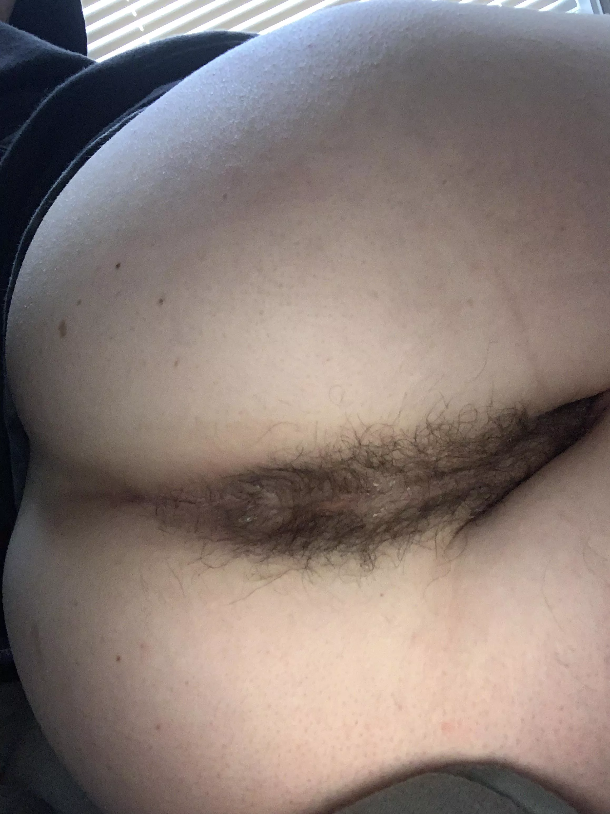 Hairy Asshole 🤤 posted by BuschLightAmIRight