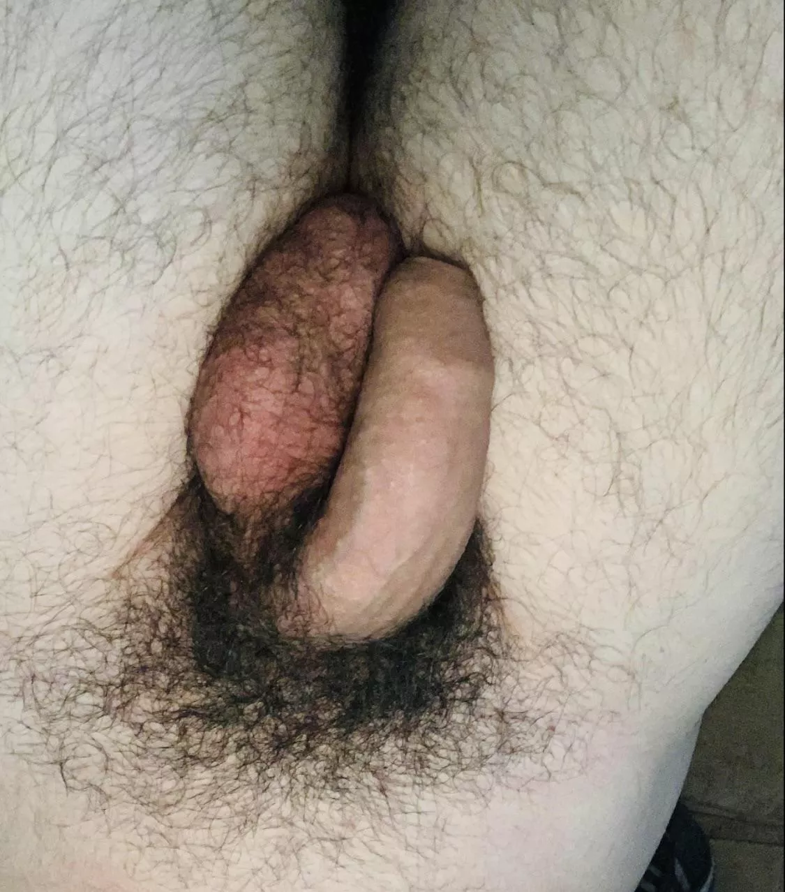 hairy balls lover here?😋 posted by tokio6969