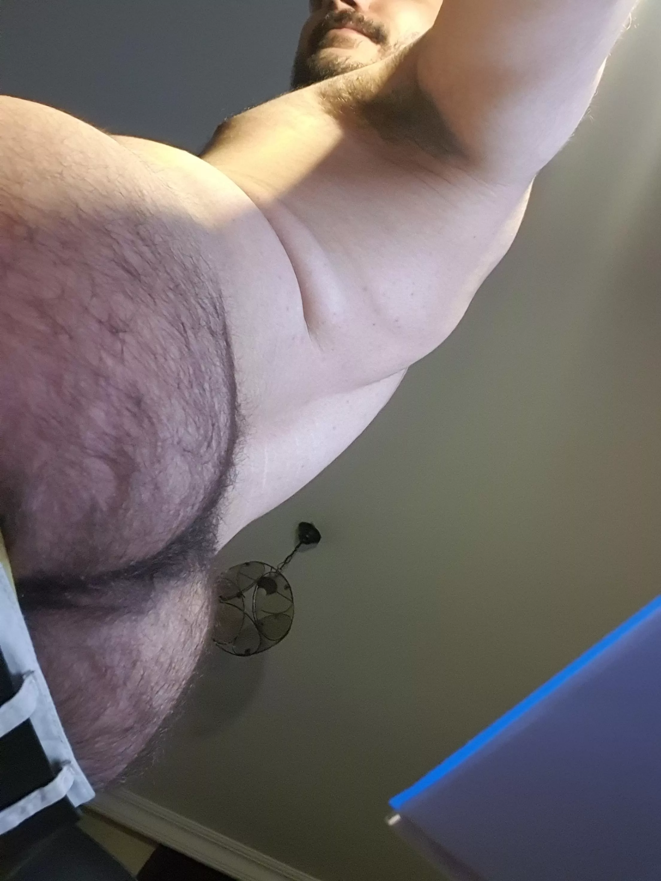 hairy butt [22] posted by thatgayboy6