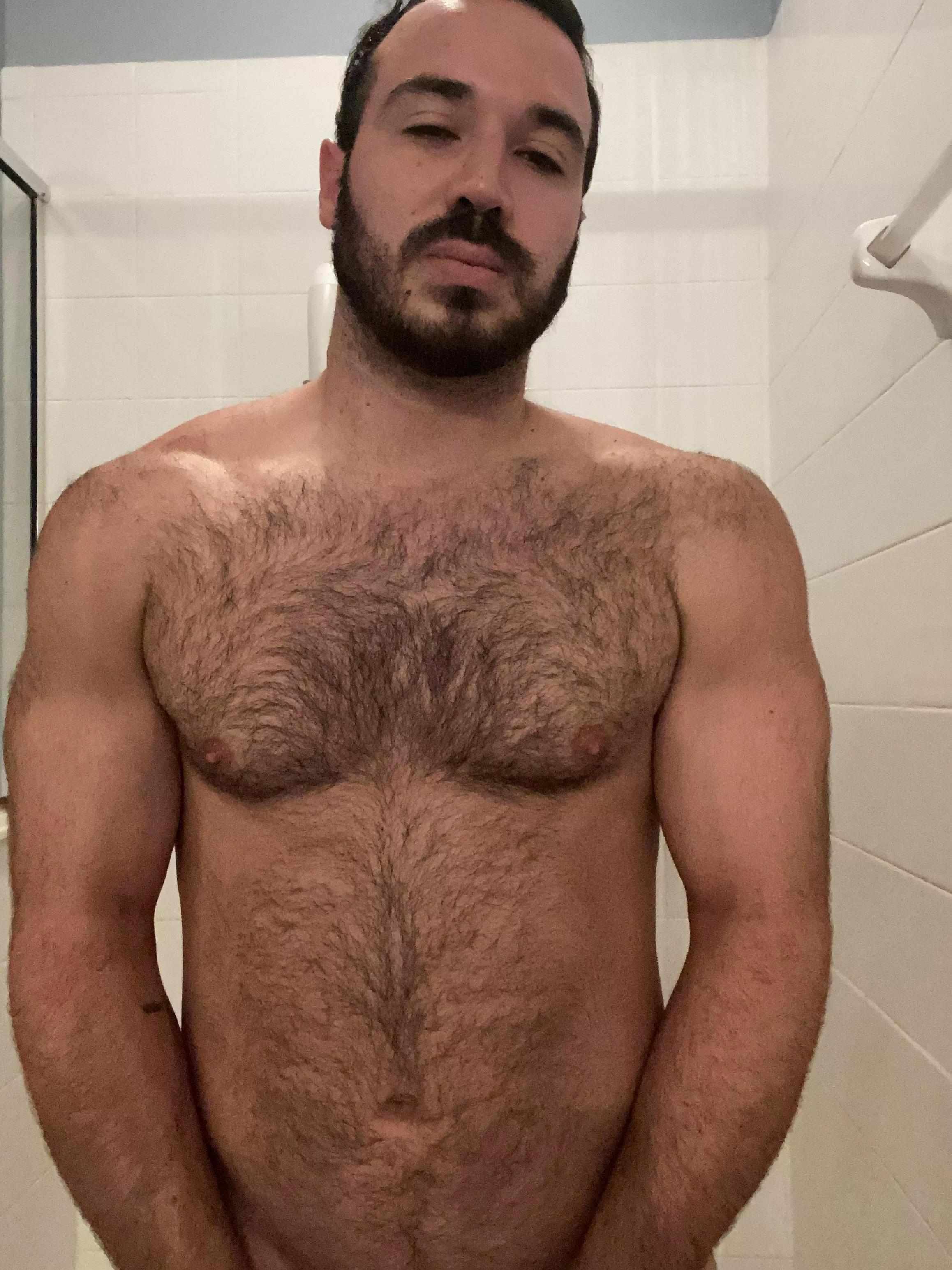 Hairy chest anyone ?(; posted by Inevitable_Weekend_7