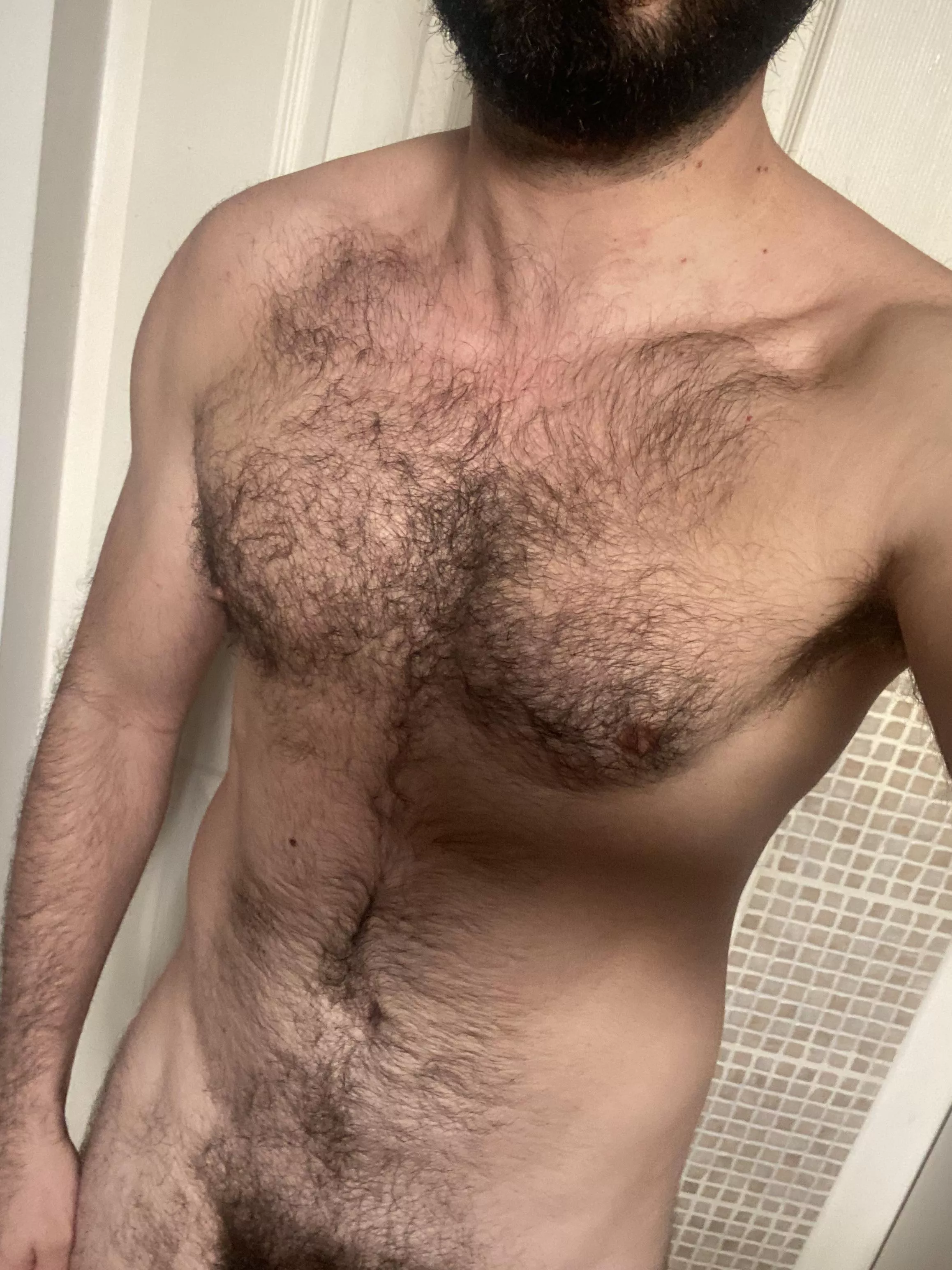 Hairy chest hairy tummy posted by hairytale30