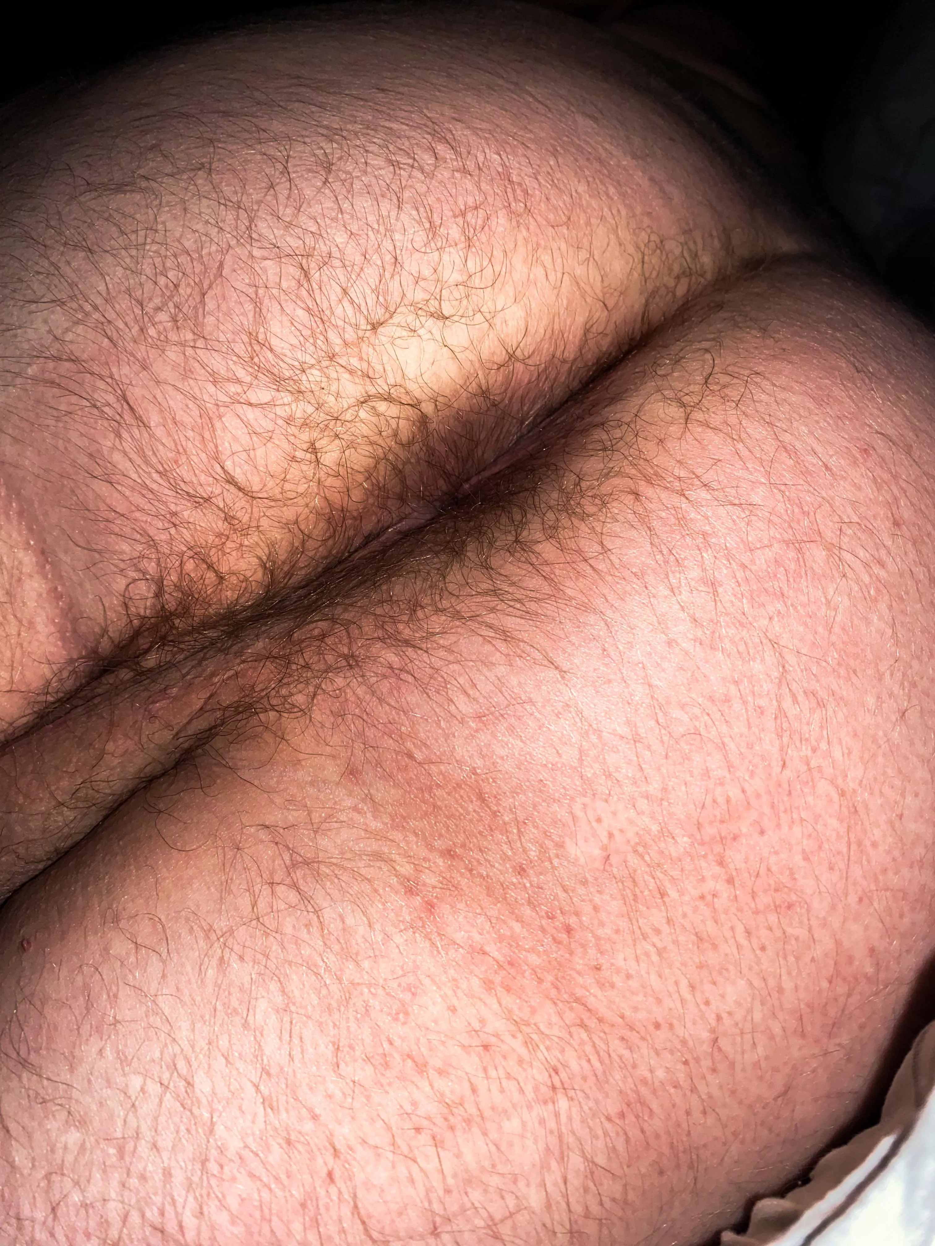 Hairy crack and sack. Should I wish for more or do I have enough? posted by bf4986