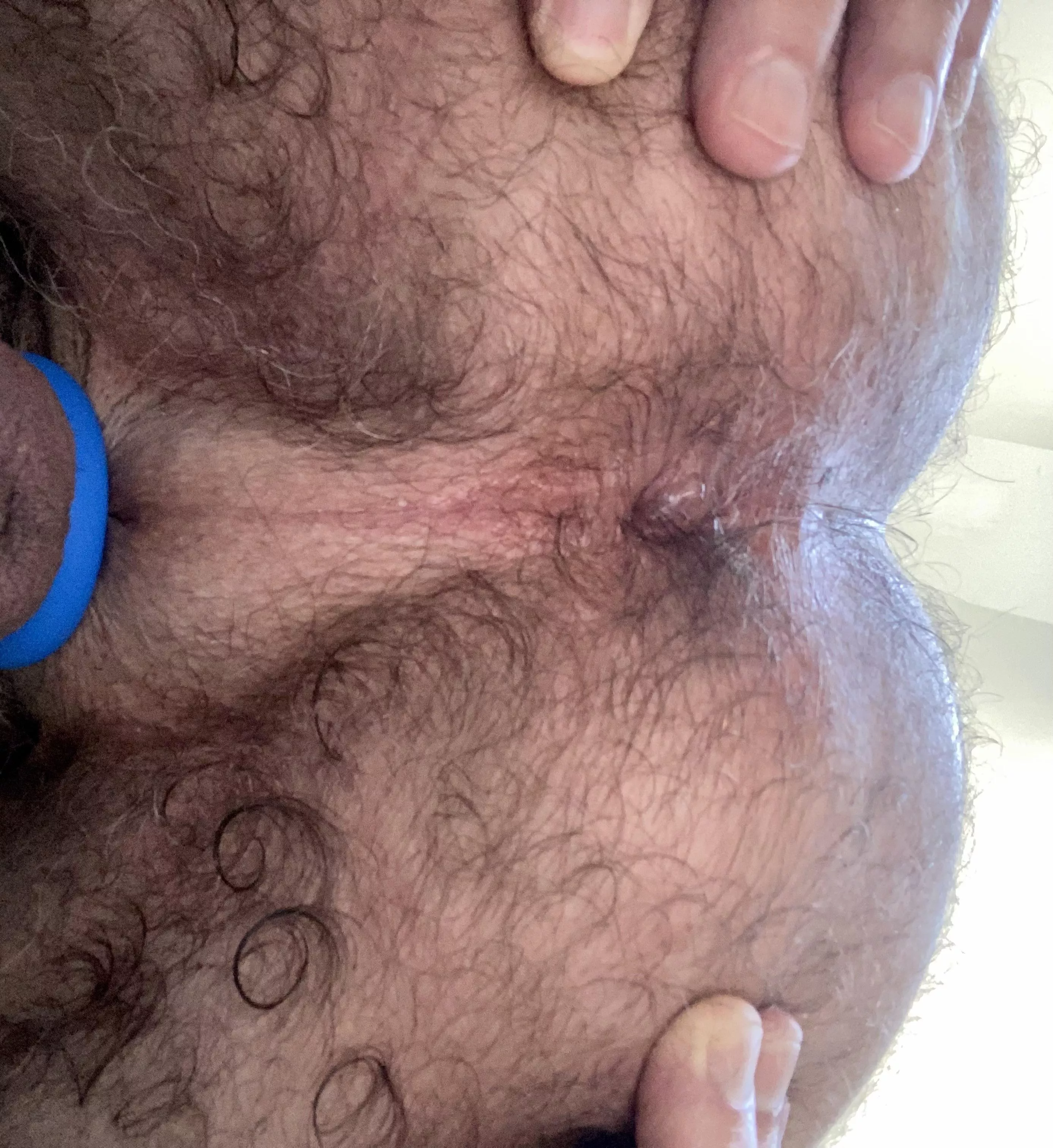 Hairy Daddy Ass at the ready posted by jptouch