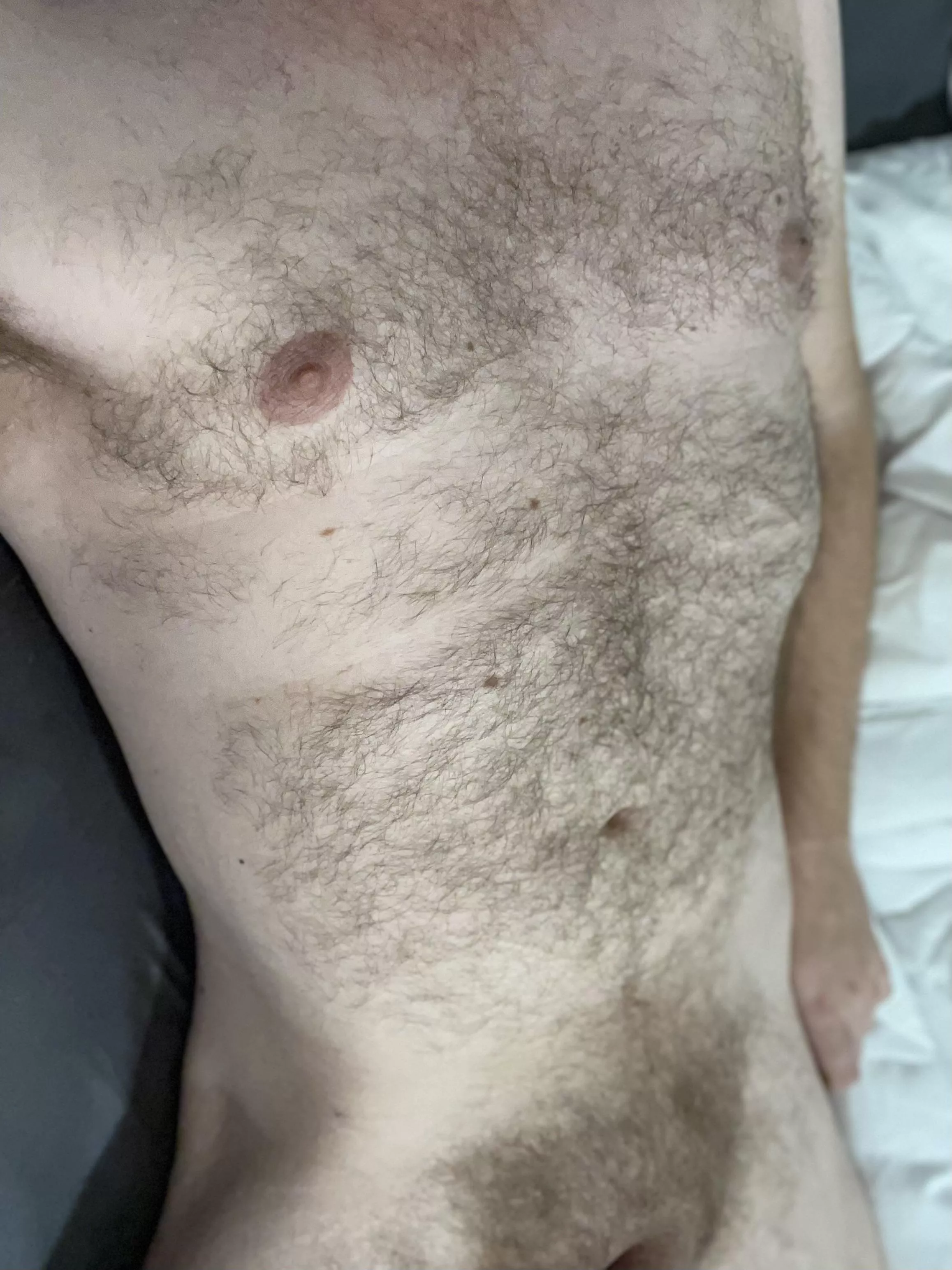 Hairy enough? 29m posted by Hungnyc8162