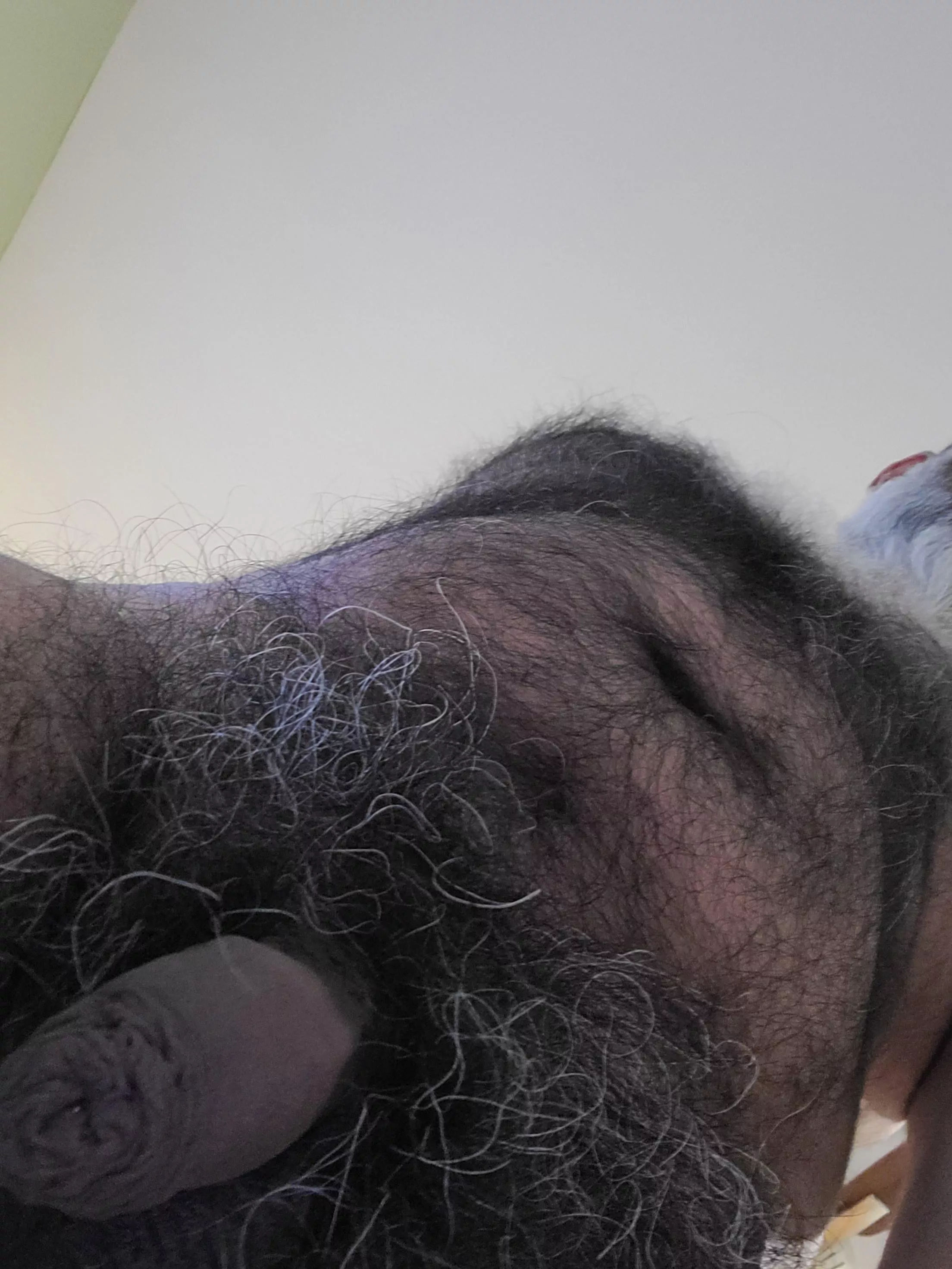 Hairy enough? posted by FurrySaltnPeppaDaddy