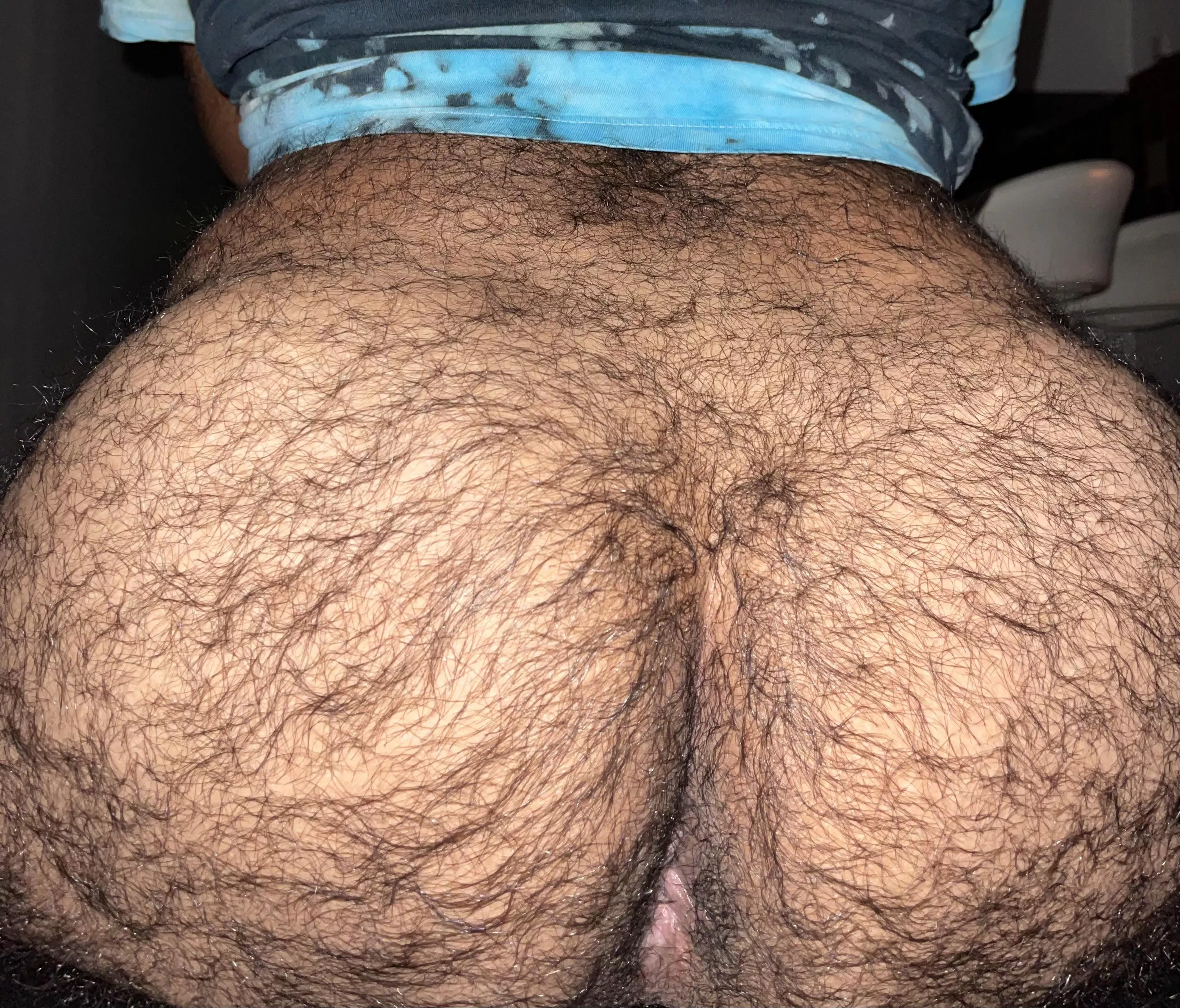 Hairy enough for ya? 😉 posted by thehairyandgay