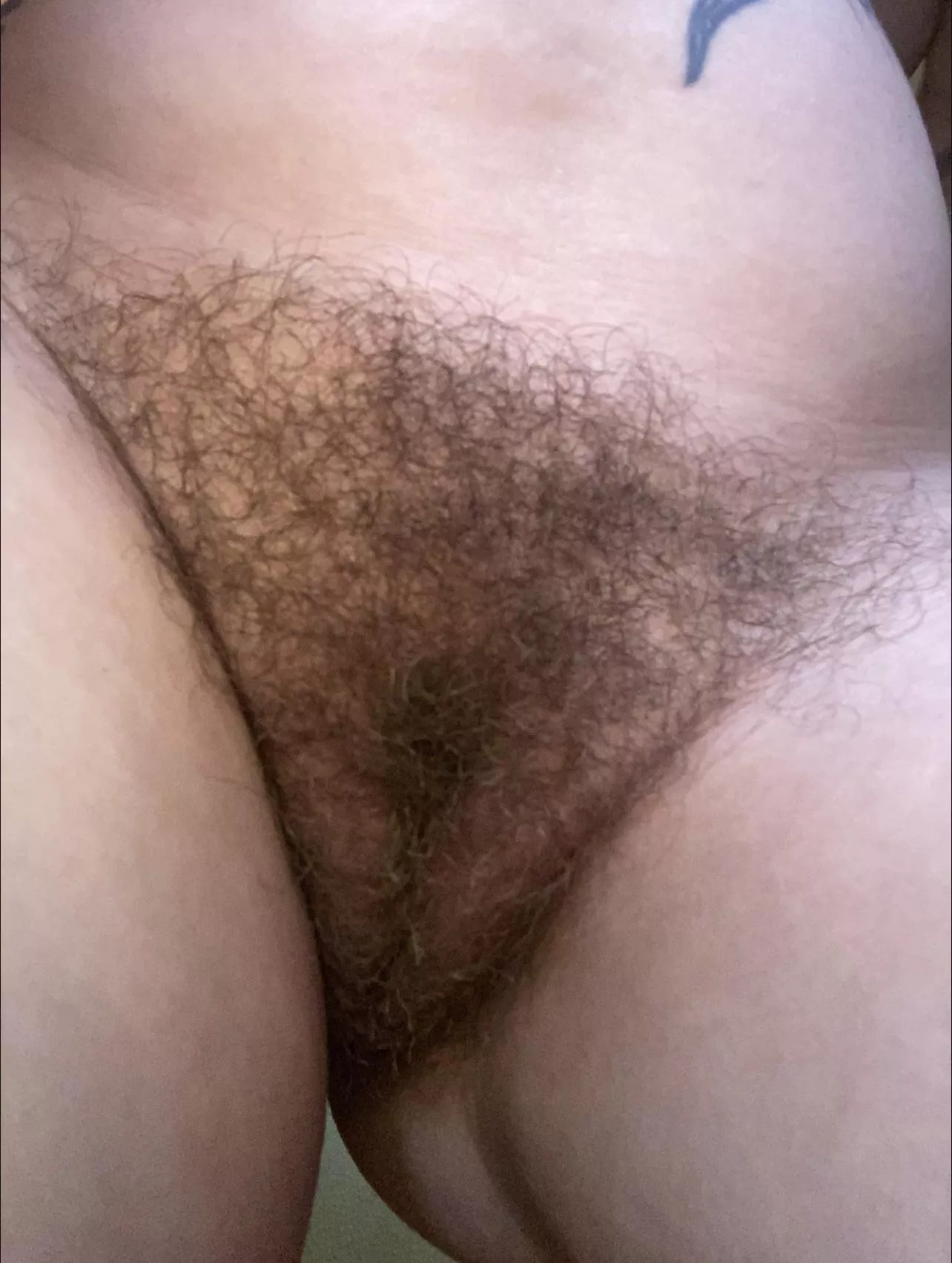 Hairy enough for you? posted by MissVeronicaRoseXo