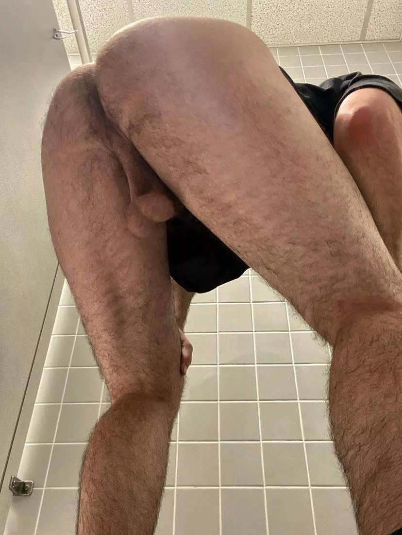 Hairy enough for you? ;) posted by King_Mattx