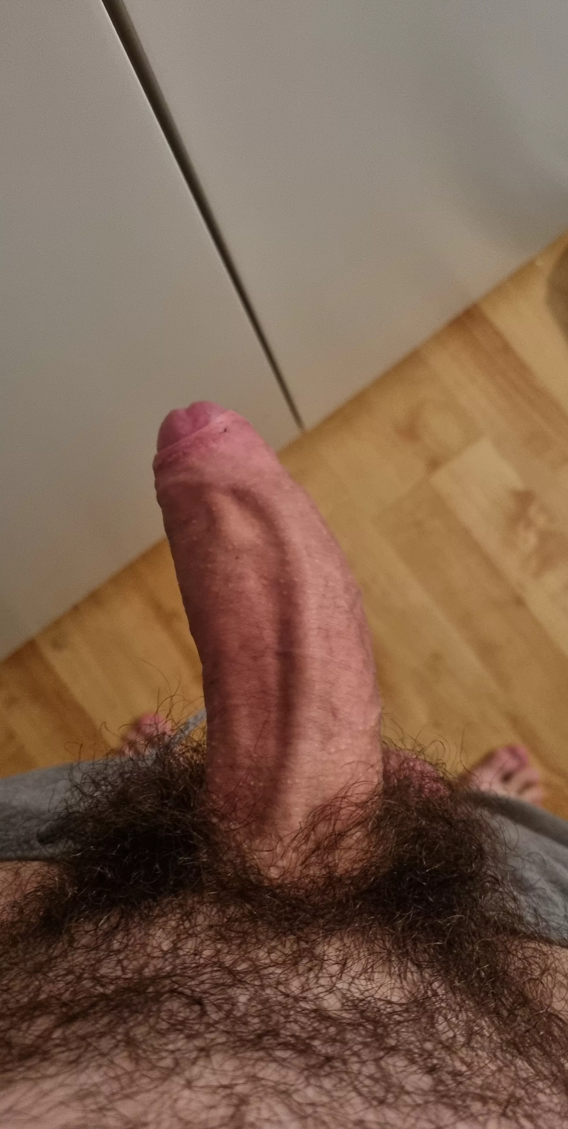 Hairy enough for you sluts posted by Sufficient_Poem2930