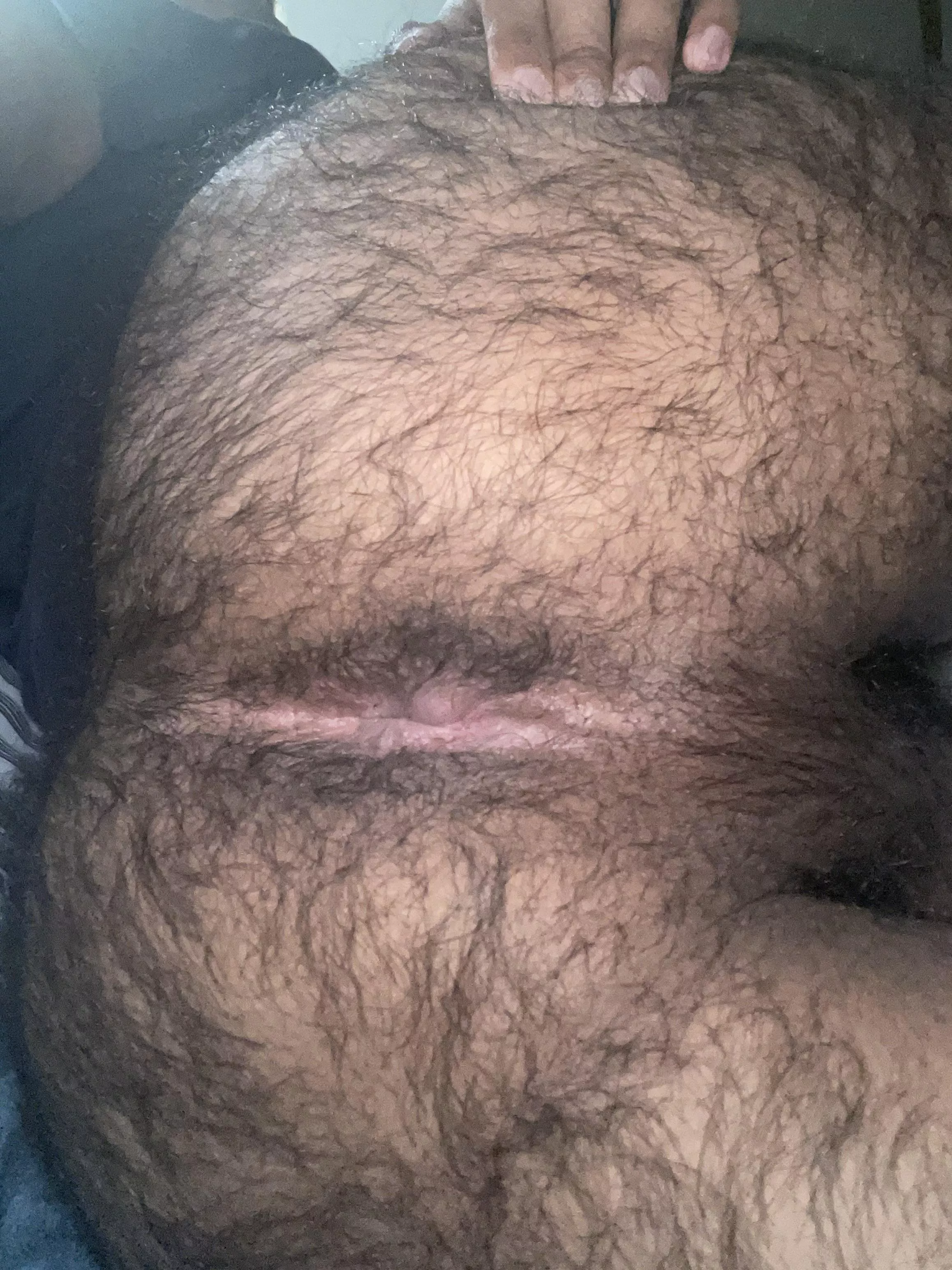 Hairy enough for you? 😏 posted by thehairygay1