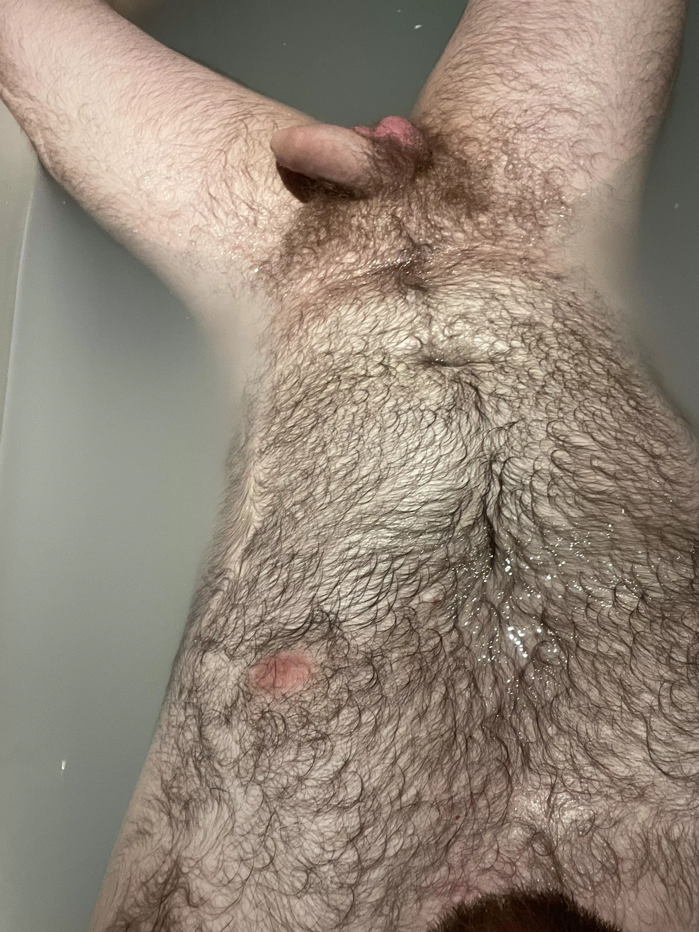 Hairy enough? Hmu posted by hairyguy2