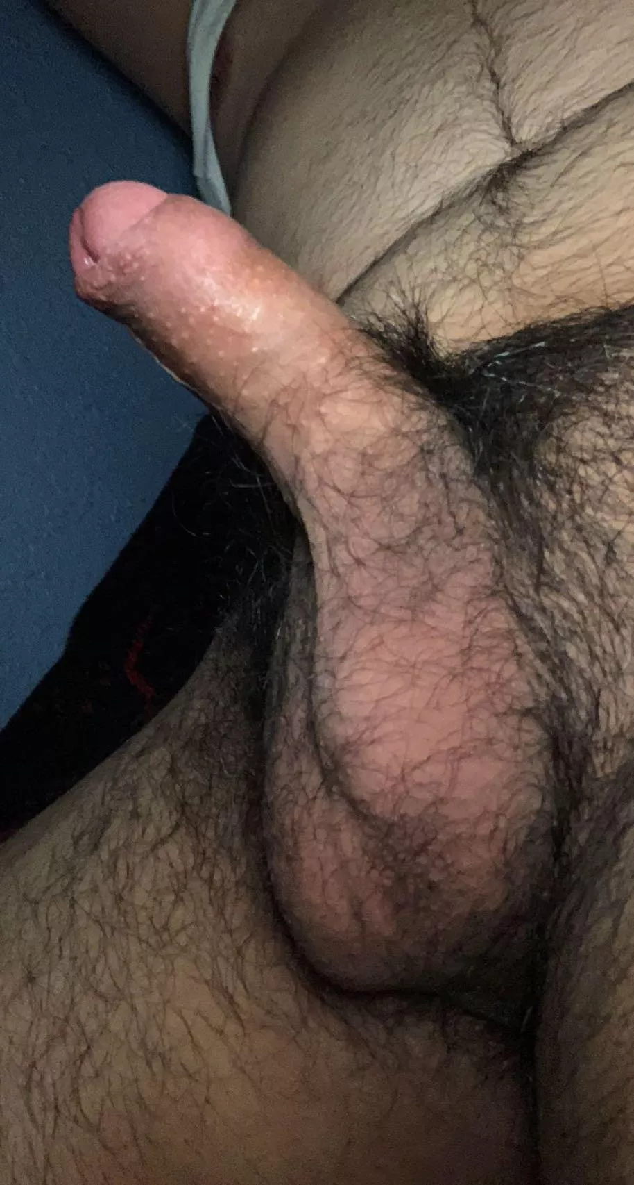 Hairy enough to be on here ? posted by Typical_Double_6112