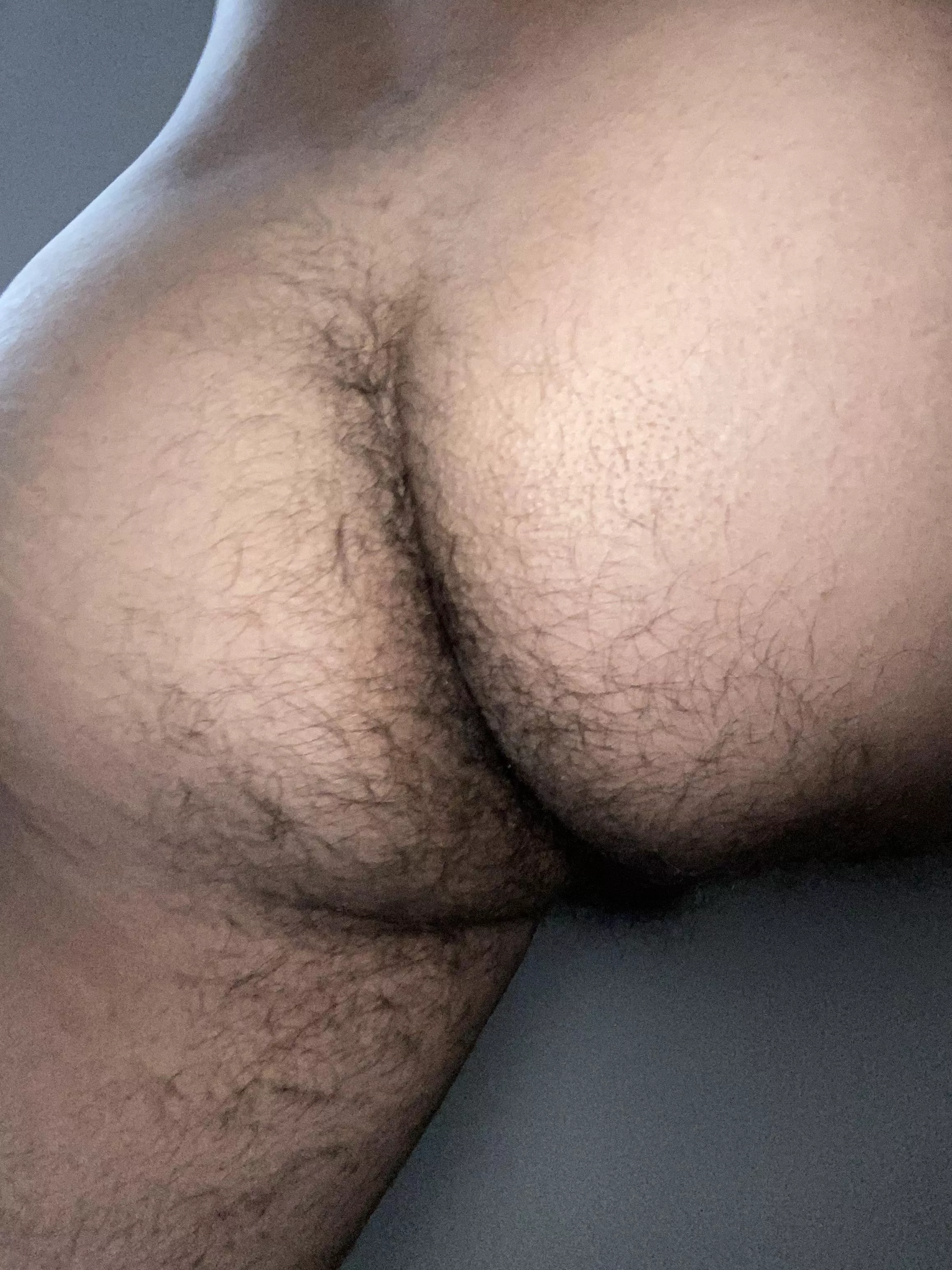 Hairy hole. Dm me. posted by HairyLatinCub