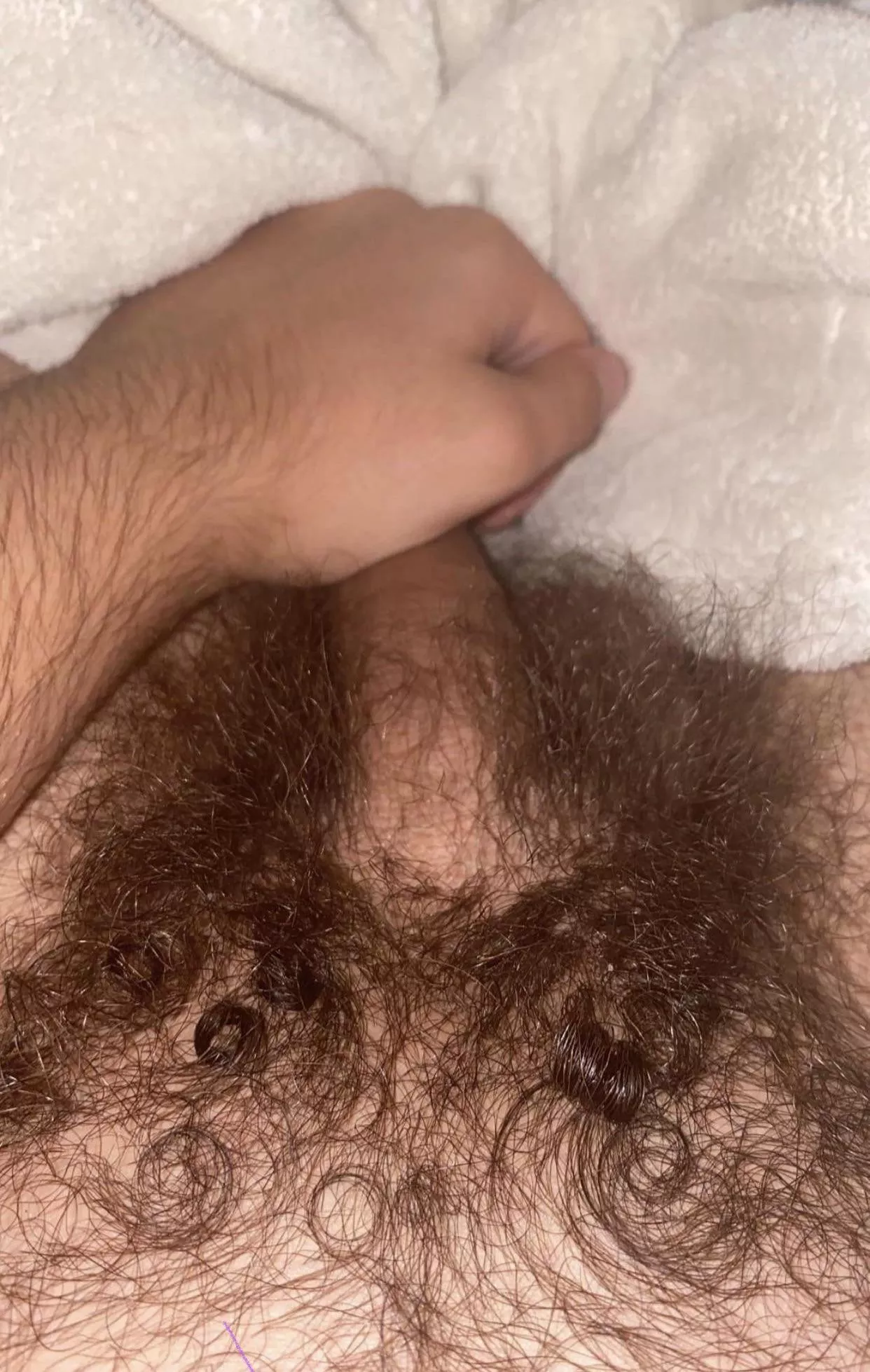 Hairy Jew pubes ;) posted by hairydaddyjew