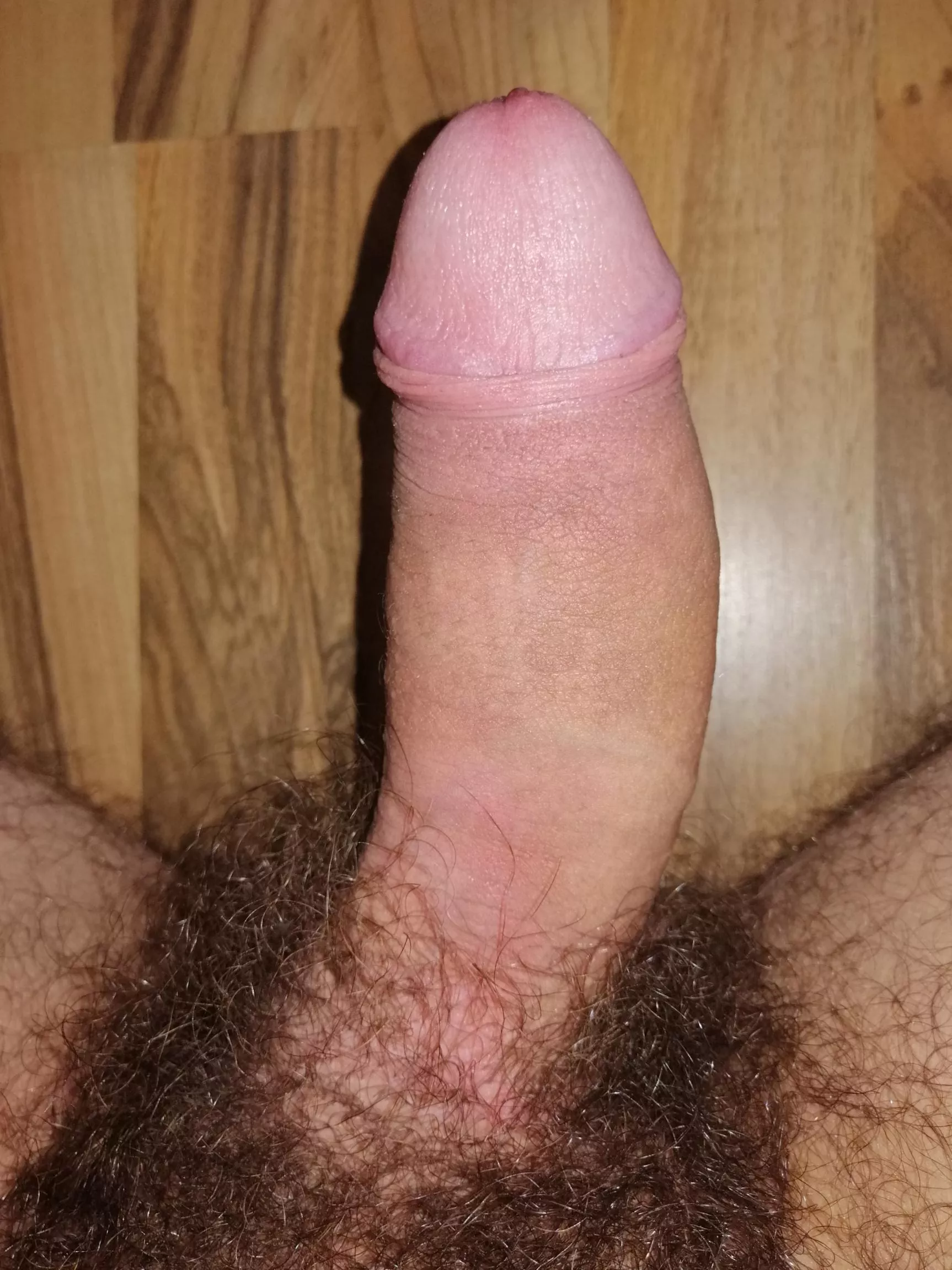 Hairy latino cock foreskin pulled back posted by Heron-Diligent