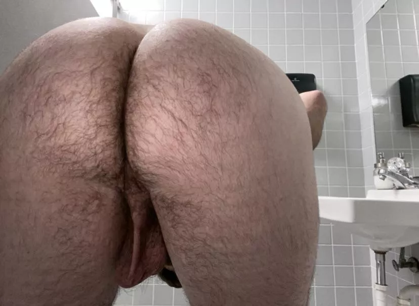 Hairy man ass posted by King_Mattx