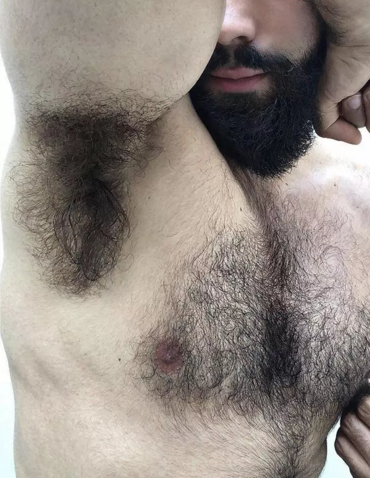 Hairy men should always have hairy pits posted by manstinklover