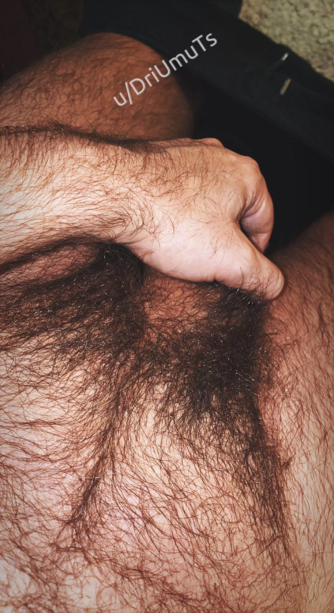 Hairy? No doubt. Insanely hairy? 🤷🏻 posted by DriUmuTs