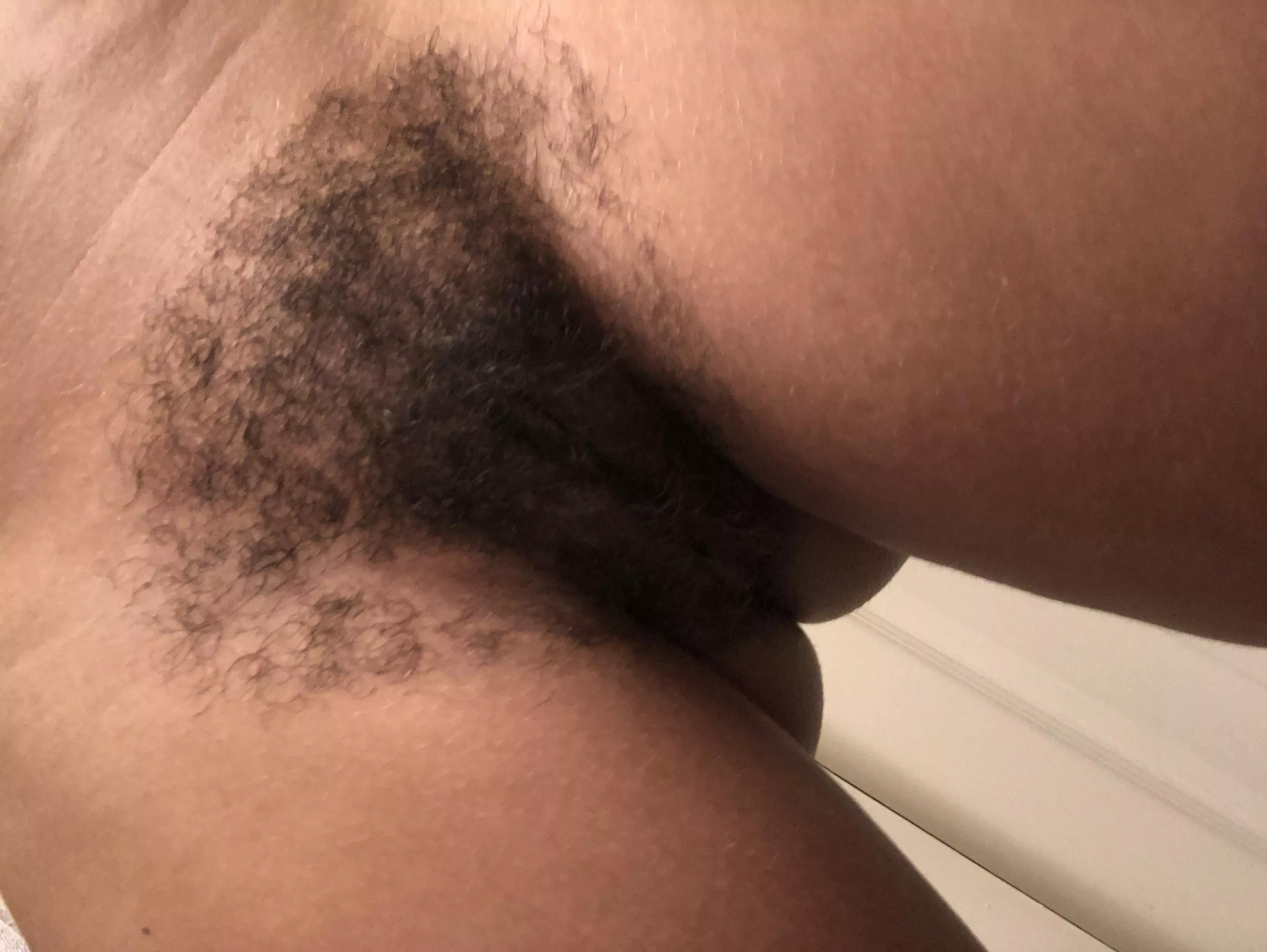 Hairy pussy at your service posted by mindydiamond