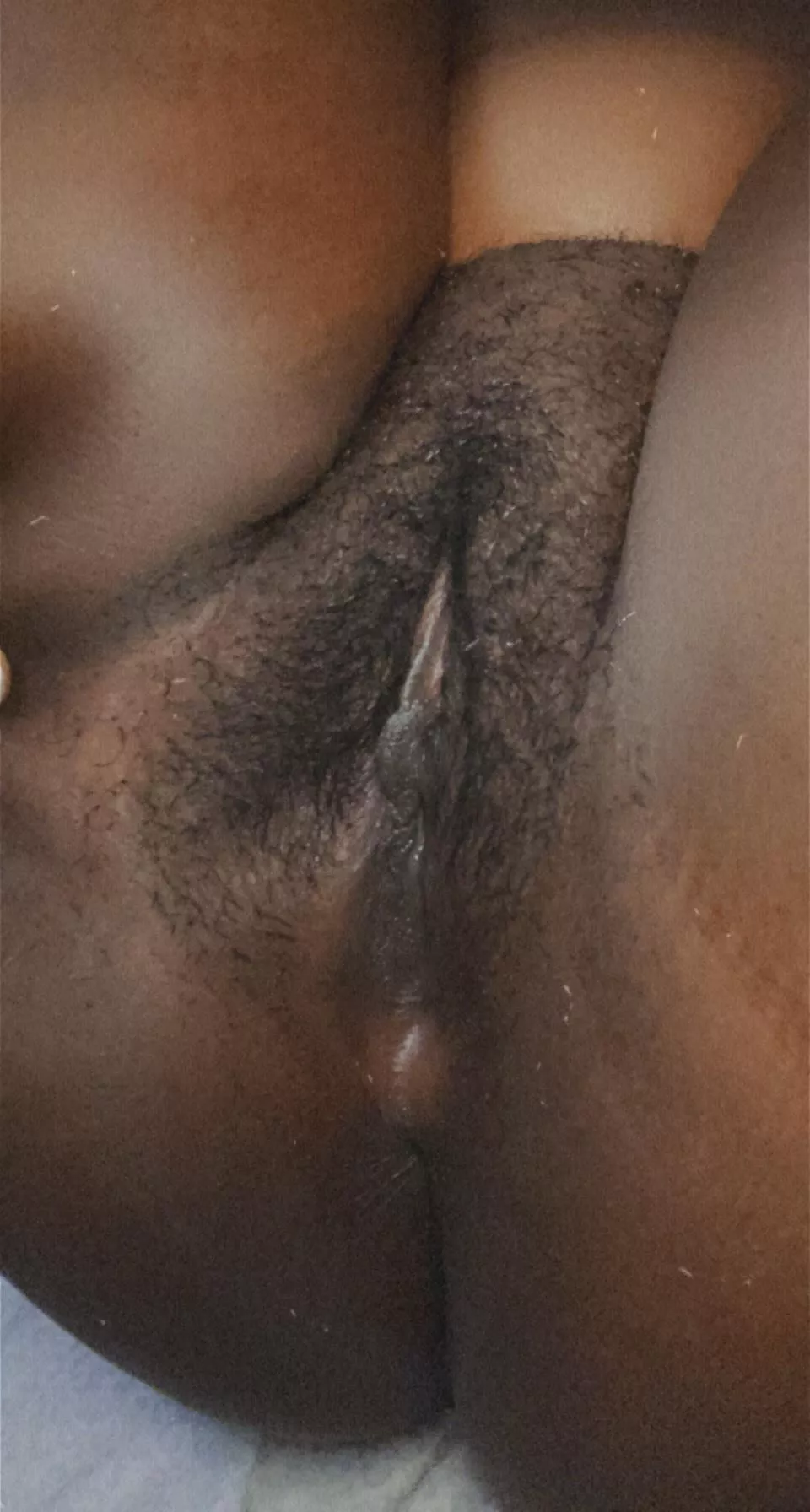 Hairy pussy is my favorite pussy ! posted by loveindrugs