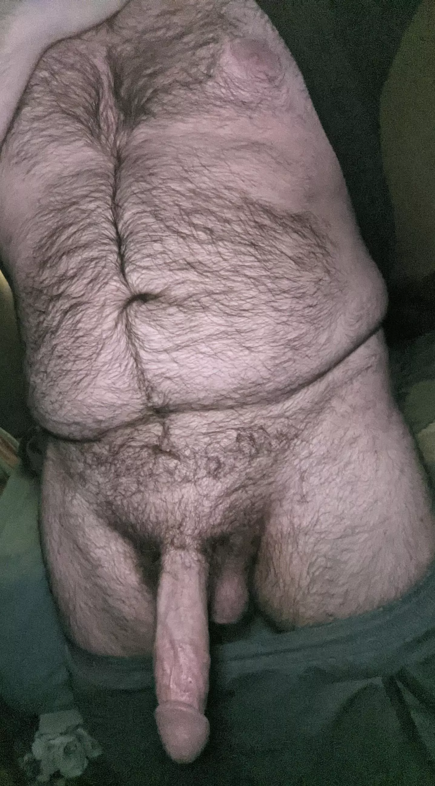 Hairy tummy posted by TheDude10028