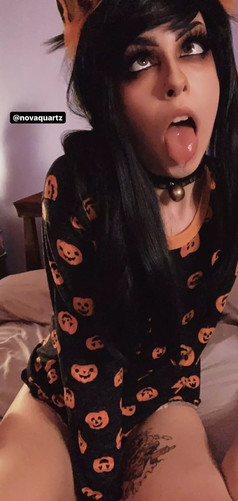 Halloween kitten🧡🖤 posted by t1r3dsl0th