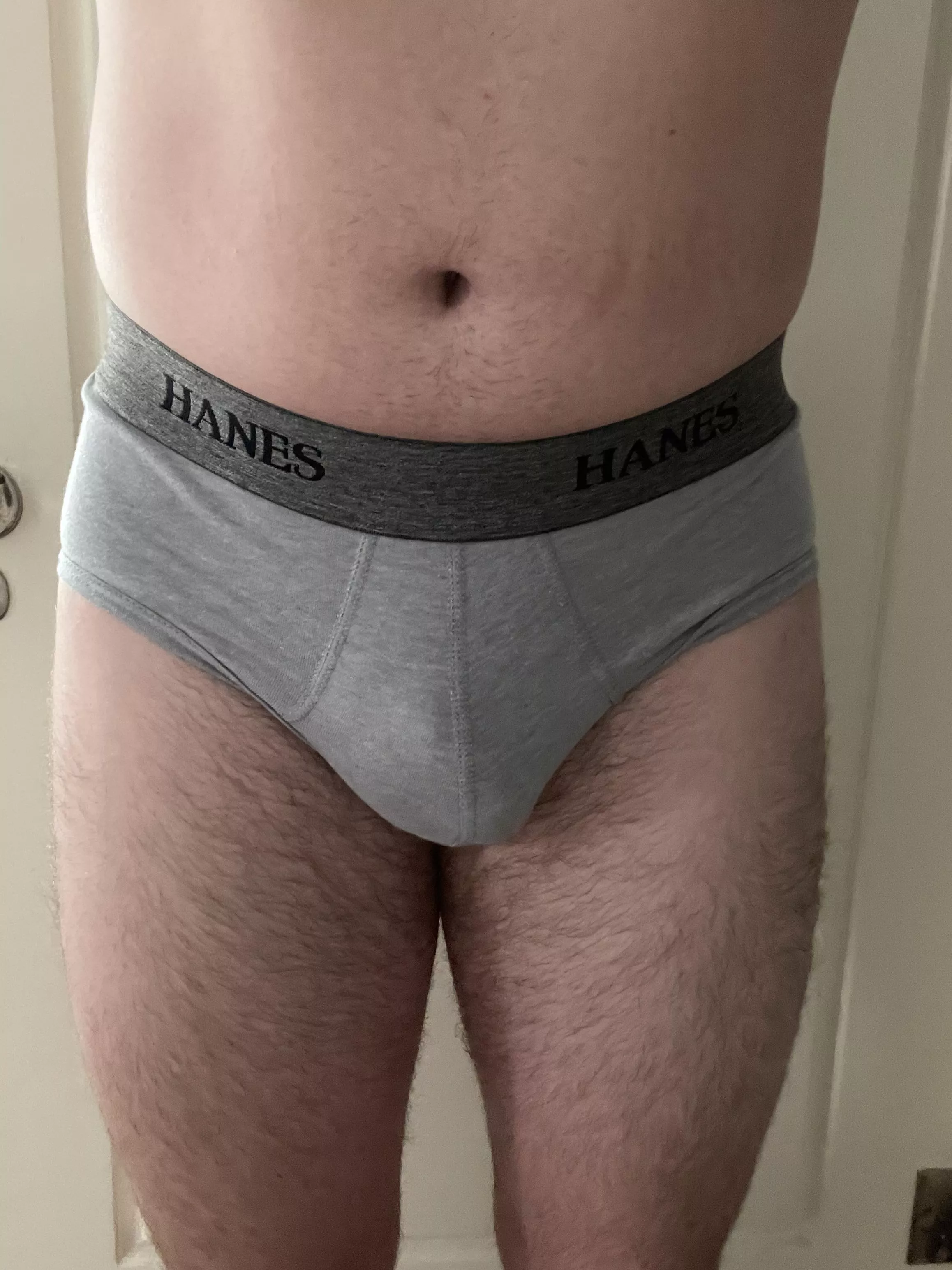 hanes premium stretch briefs posted by jesbendac853