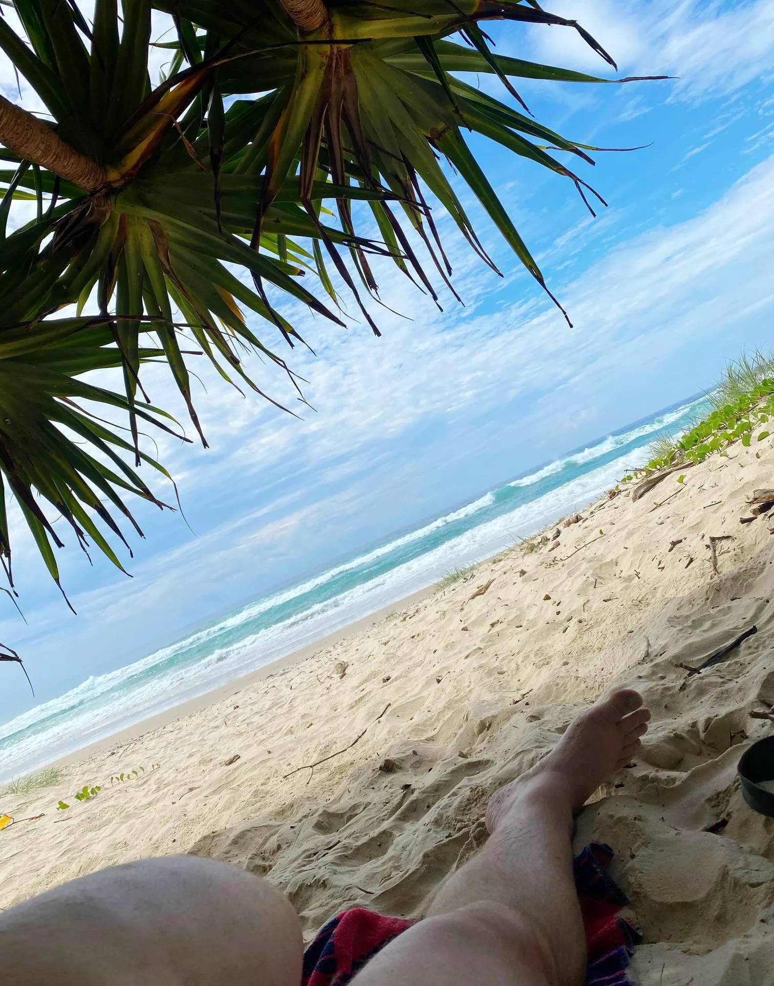 Hanging out at Kings Beach last Summer (not too far from Byron Bay, Australia). posted by Palenudecreature