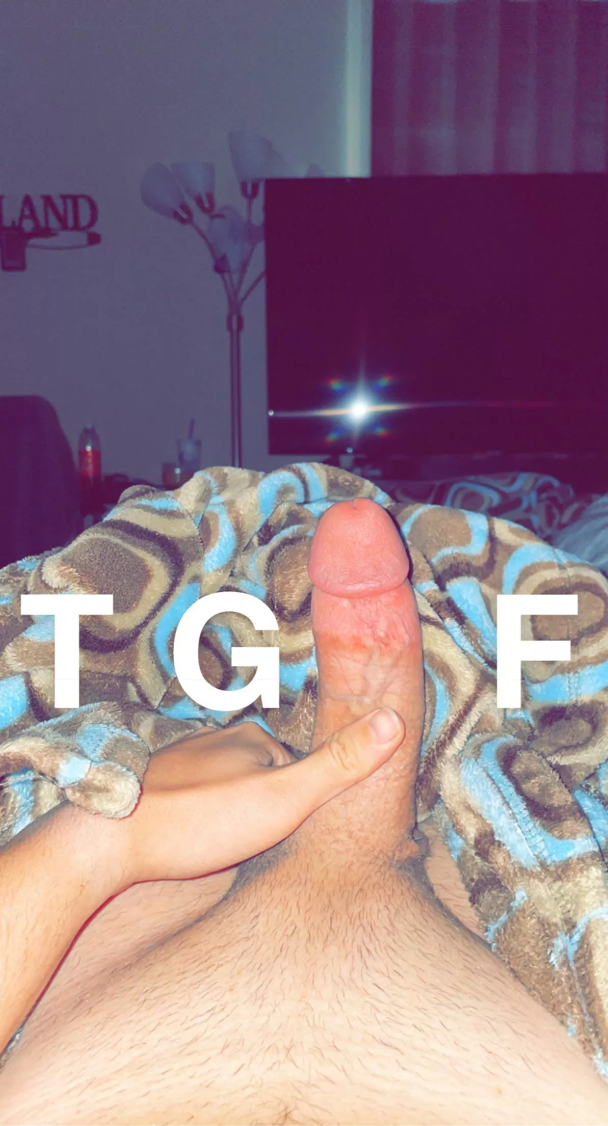 Happy Friday from my morning wood posted by panoramicgay