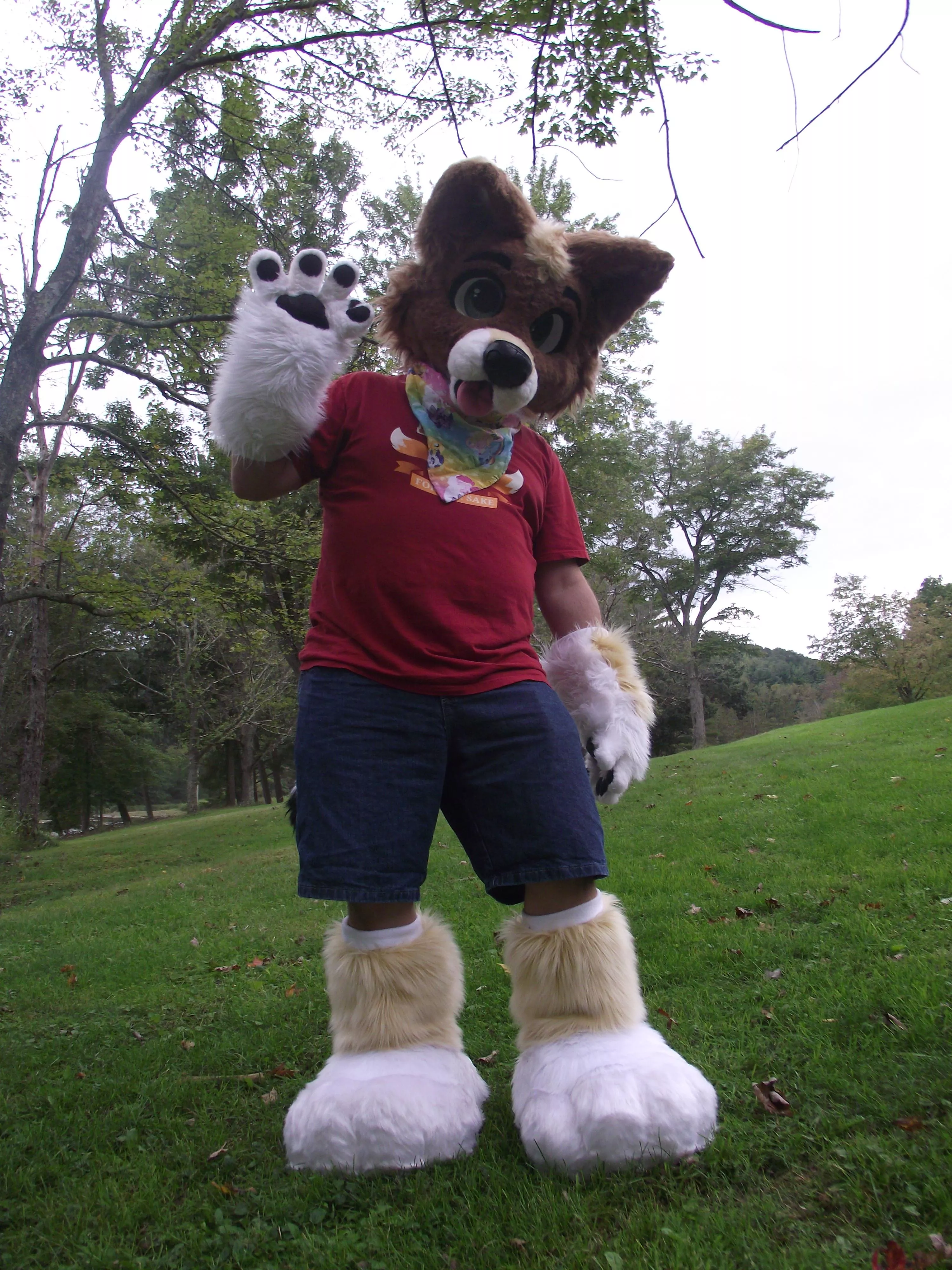 Happy Fursuit Friday! Magi in the park! Bark bark! Picture by Icywaterpupper posted by magicoyote1