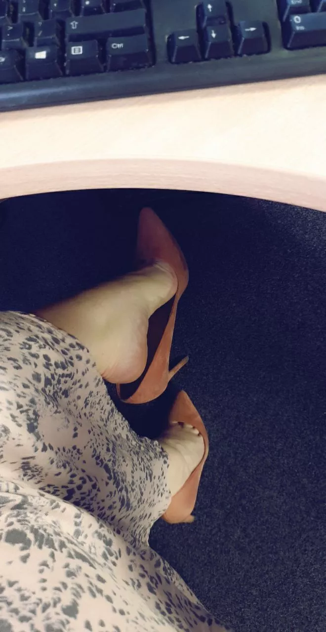 Happy Hump Day! Plenty of room under my desk if anyone wants to sneak in 🤫😉 posted by Antonella_NA