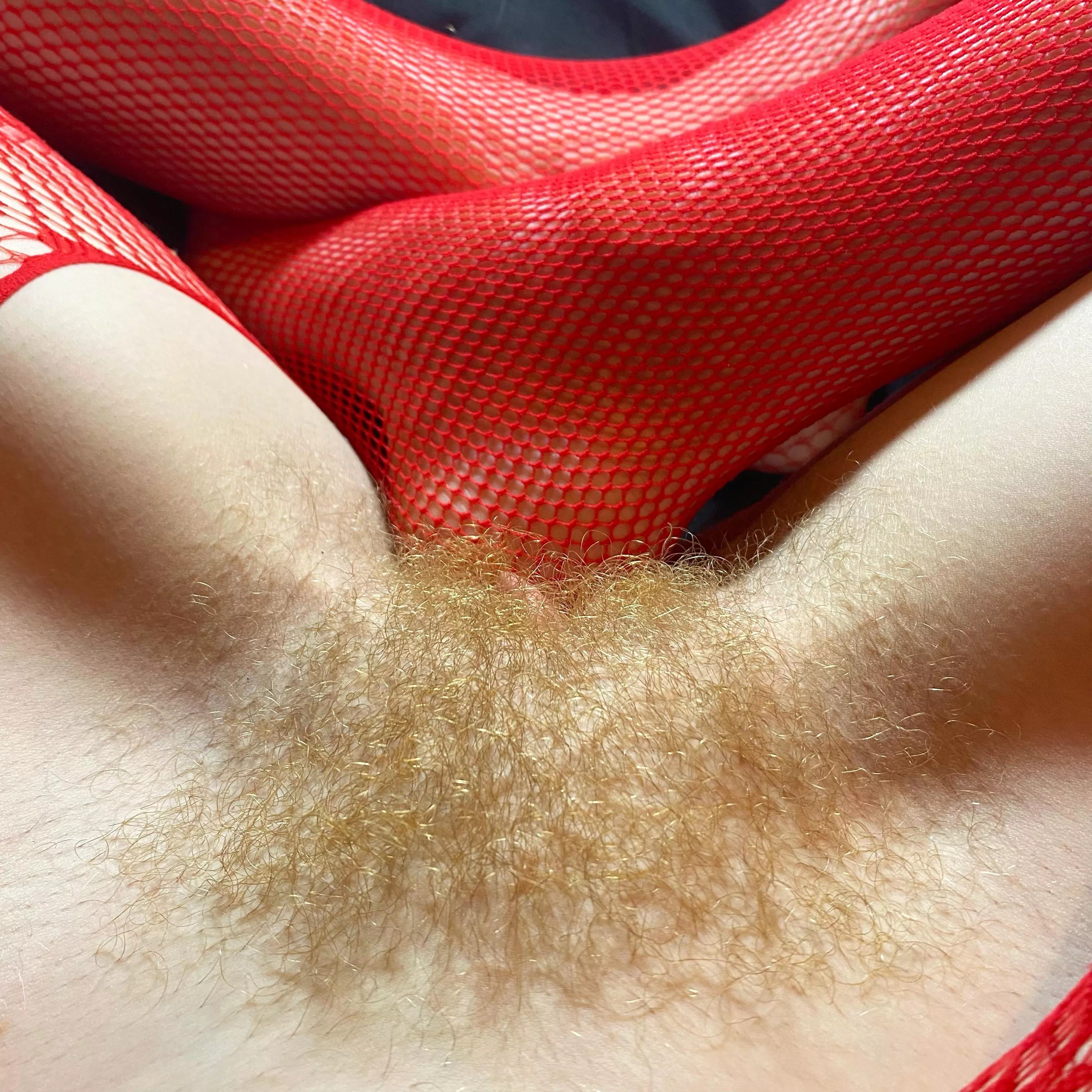 Happy Valentine’s Day from my hairy red pussy :-)) posted by Redxxxsuede