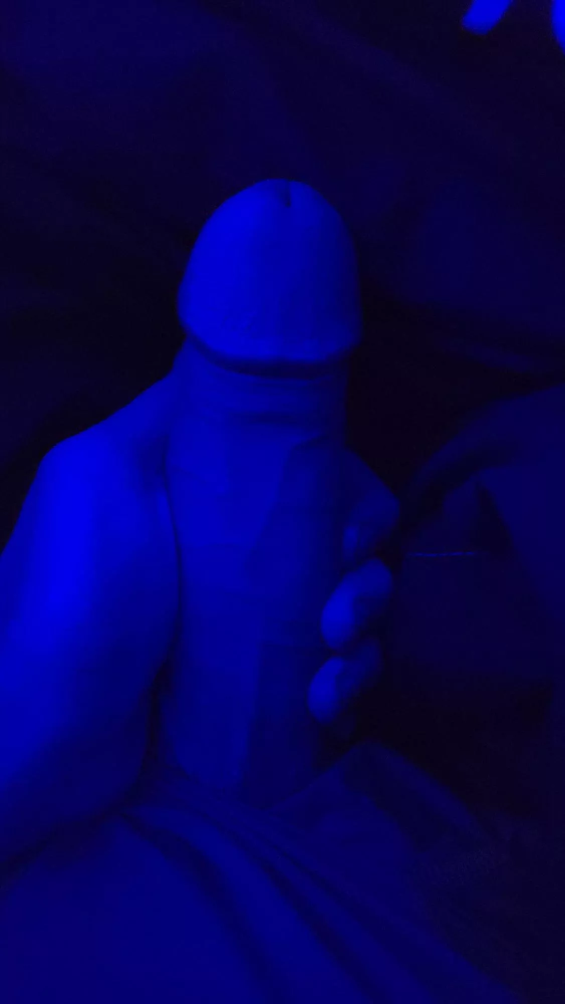 Hard cock ready to please all💦 $3 subs🍆daily uploads🤤Link and trial in comments posted by BigC_8