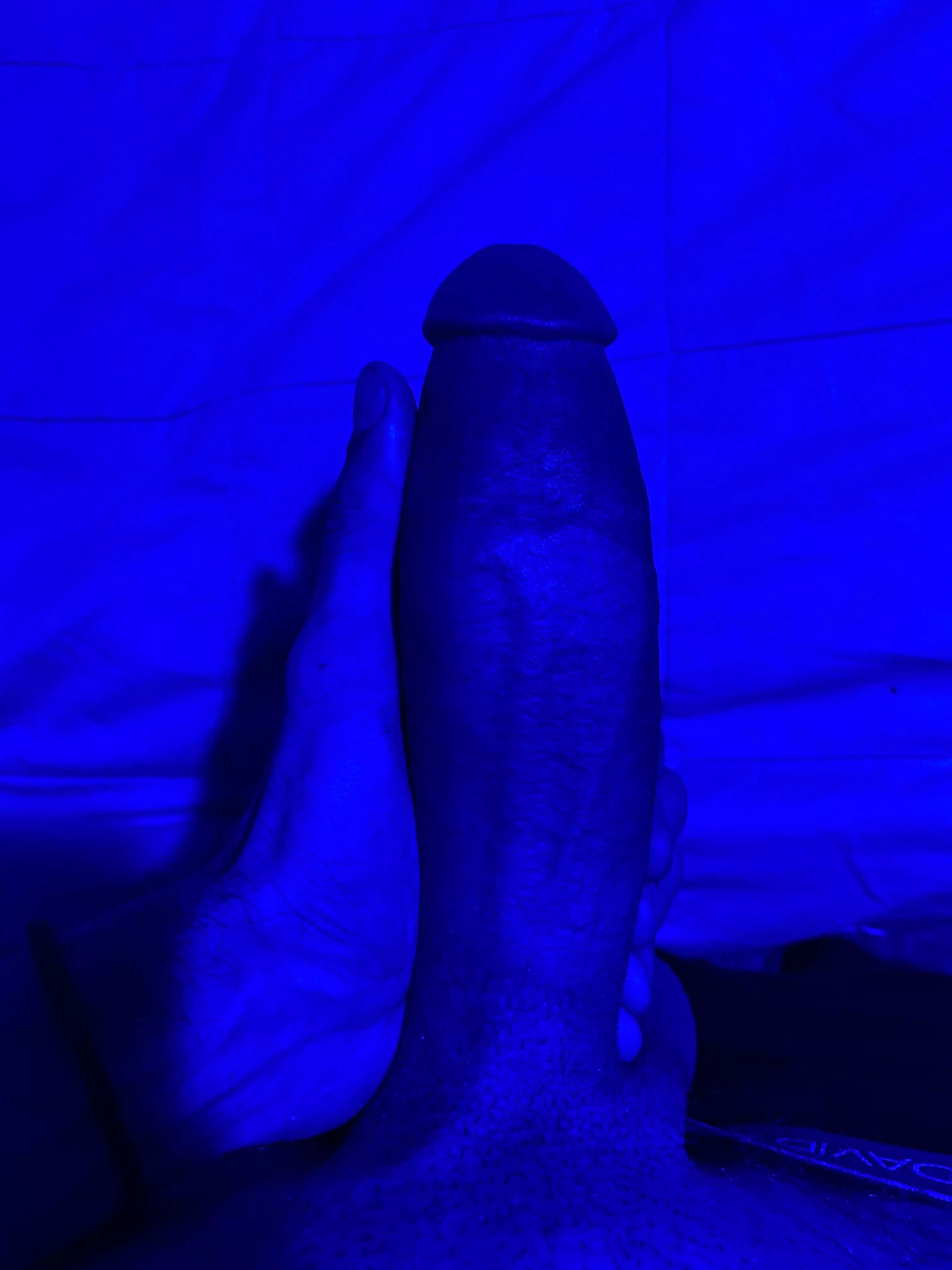 hard dick blues posted by nottghostedreddited