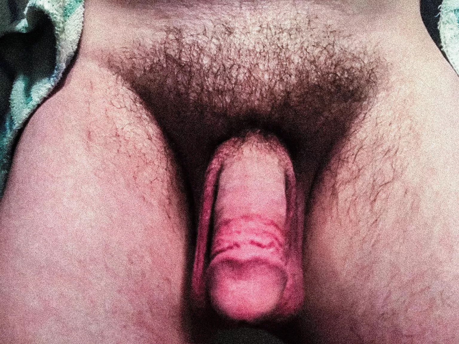 Haven’t shaved in 3 years. Wish I had a bigger bush. Should I abandon and just shave? posted by bf4986