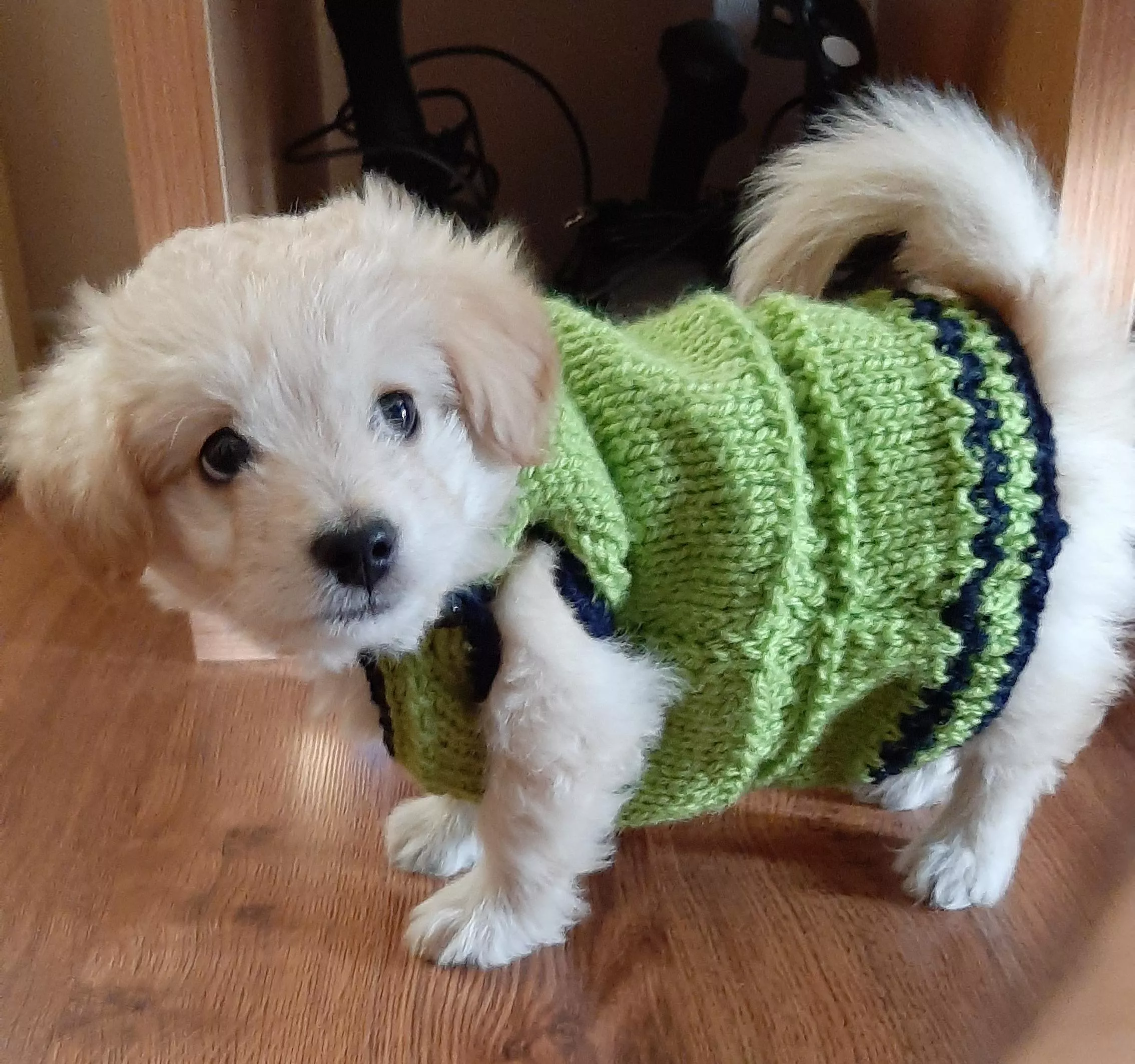 He can't quite fill the sweater our grandma knitted, but he's confident he will be able to. posted by earwaxmcgee