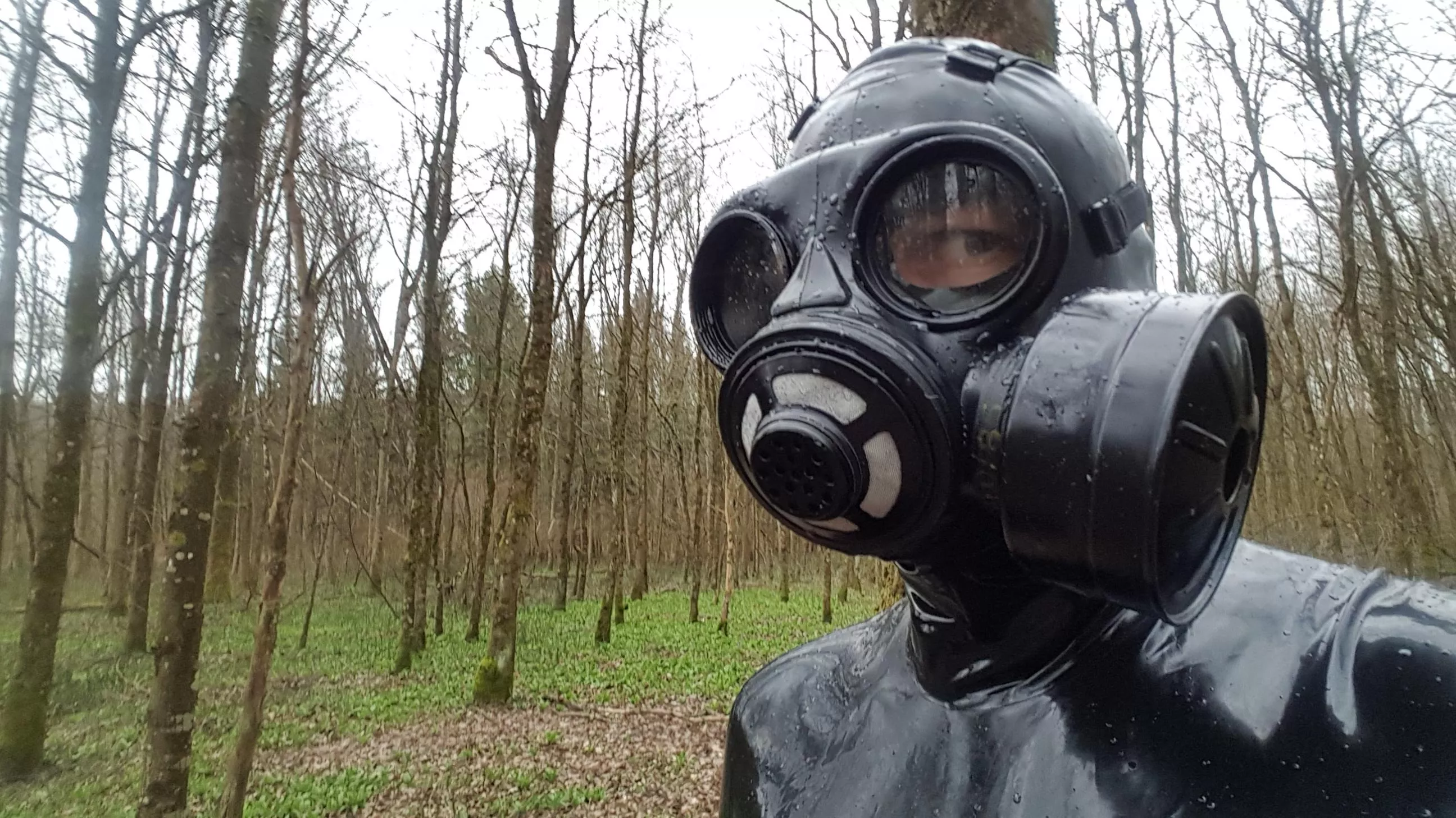 Heavy rubber in the forest [OC] posted by 4c5458