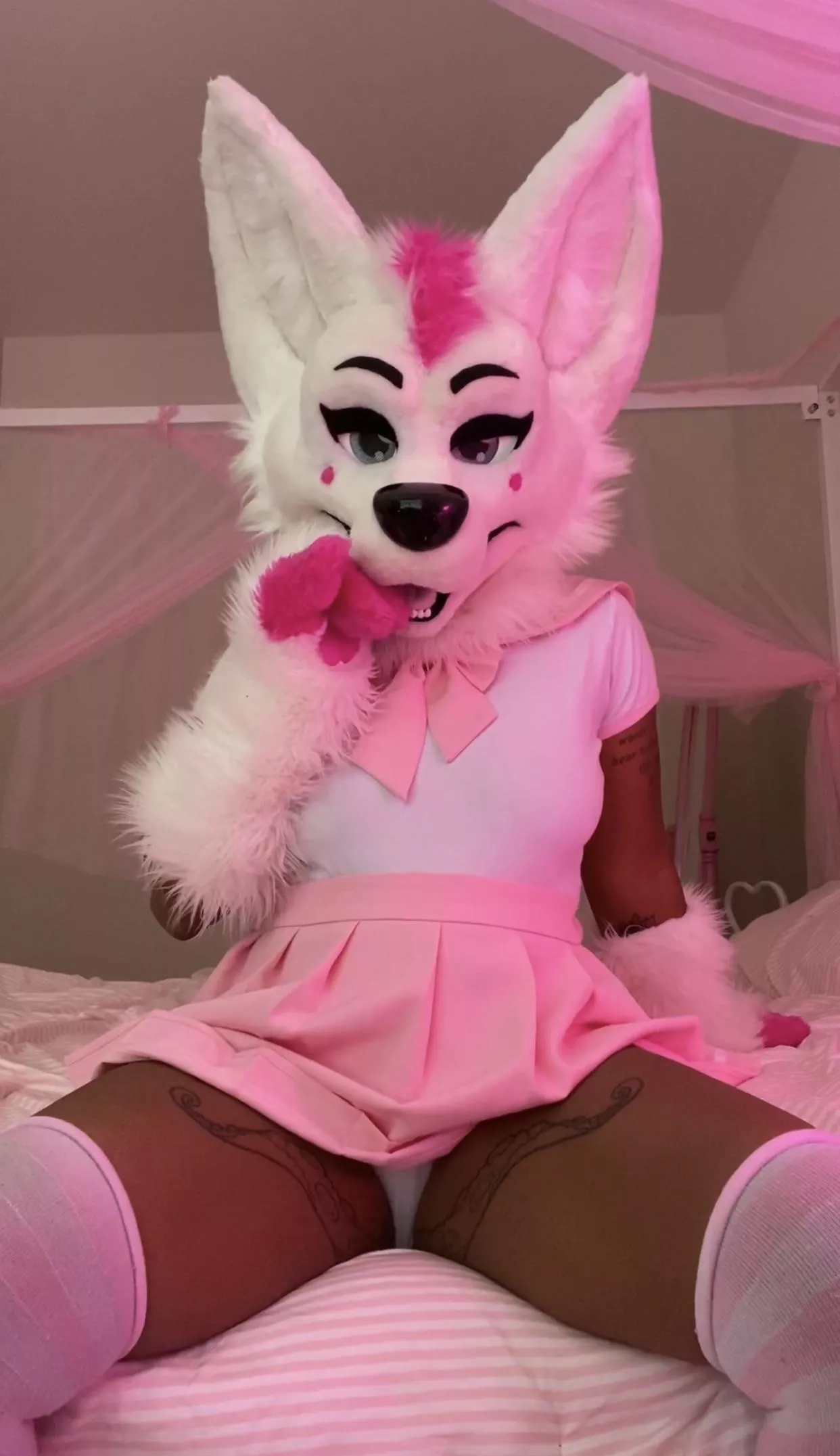 Hello Boys... posted by YourOnlineFurryWaifu