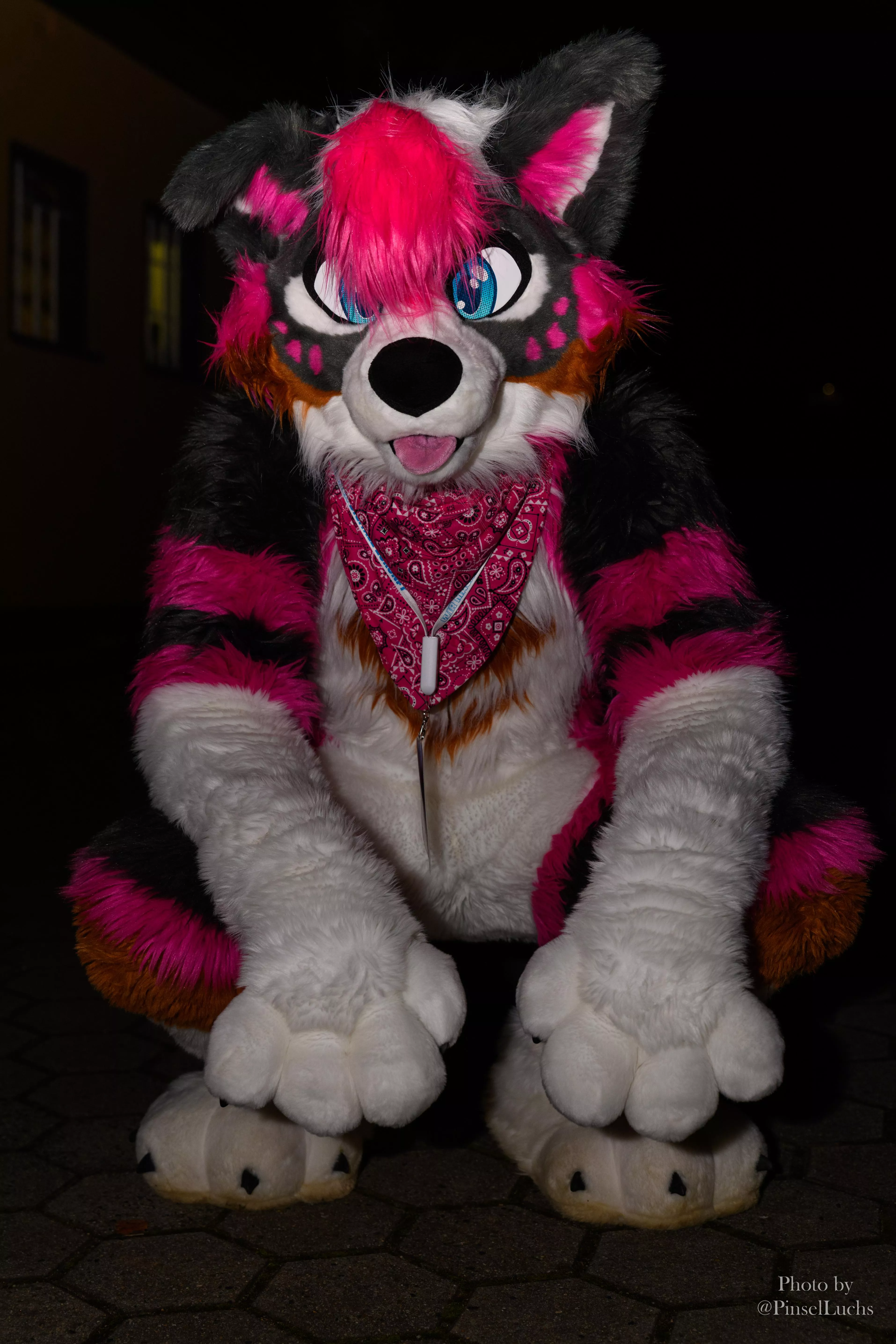 Hello down there, how are ya! (Fursuiter: @Knallstock / Photographer: @PinselLuchs) posted by PinselLuchs