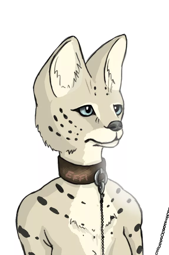 Here is Sava! She is a serval cat (art by me/Effi) posted by EffiEvilmeow