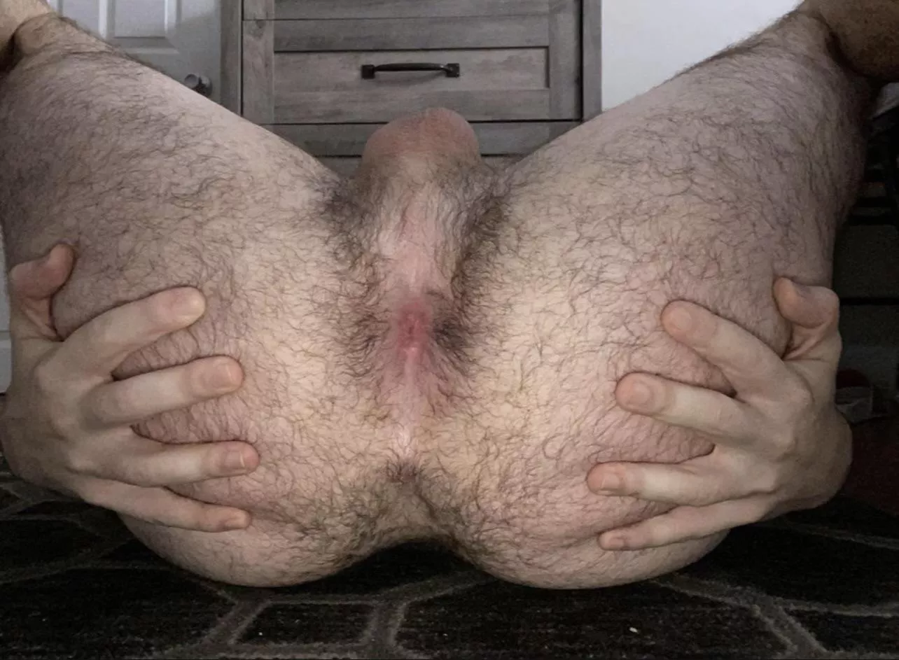 Here’s my spread hairy man ass for you posted by Bigbooblover17