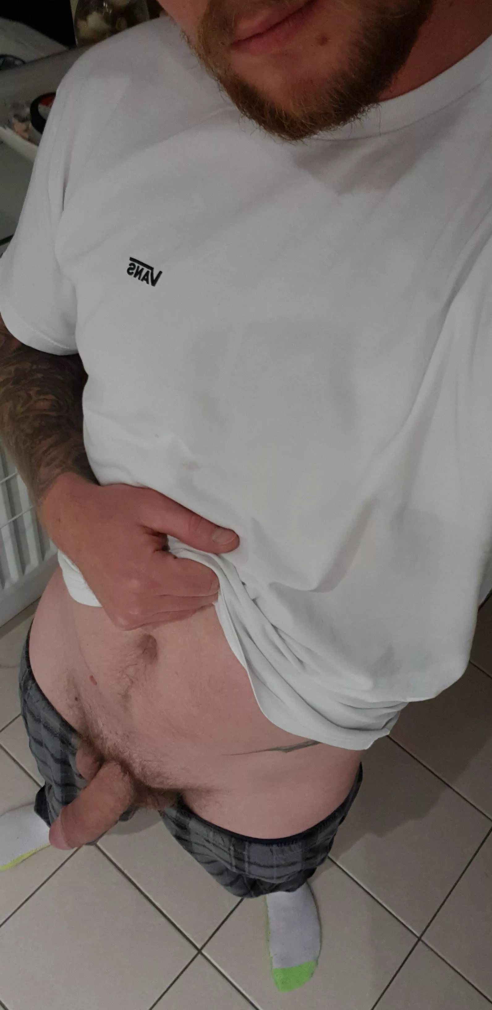 He's a lil shy, help him out? posted by TattedUpDude69