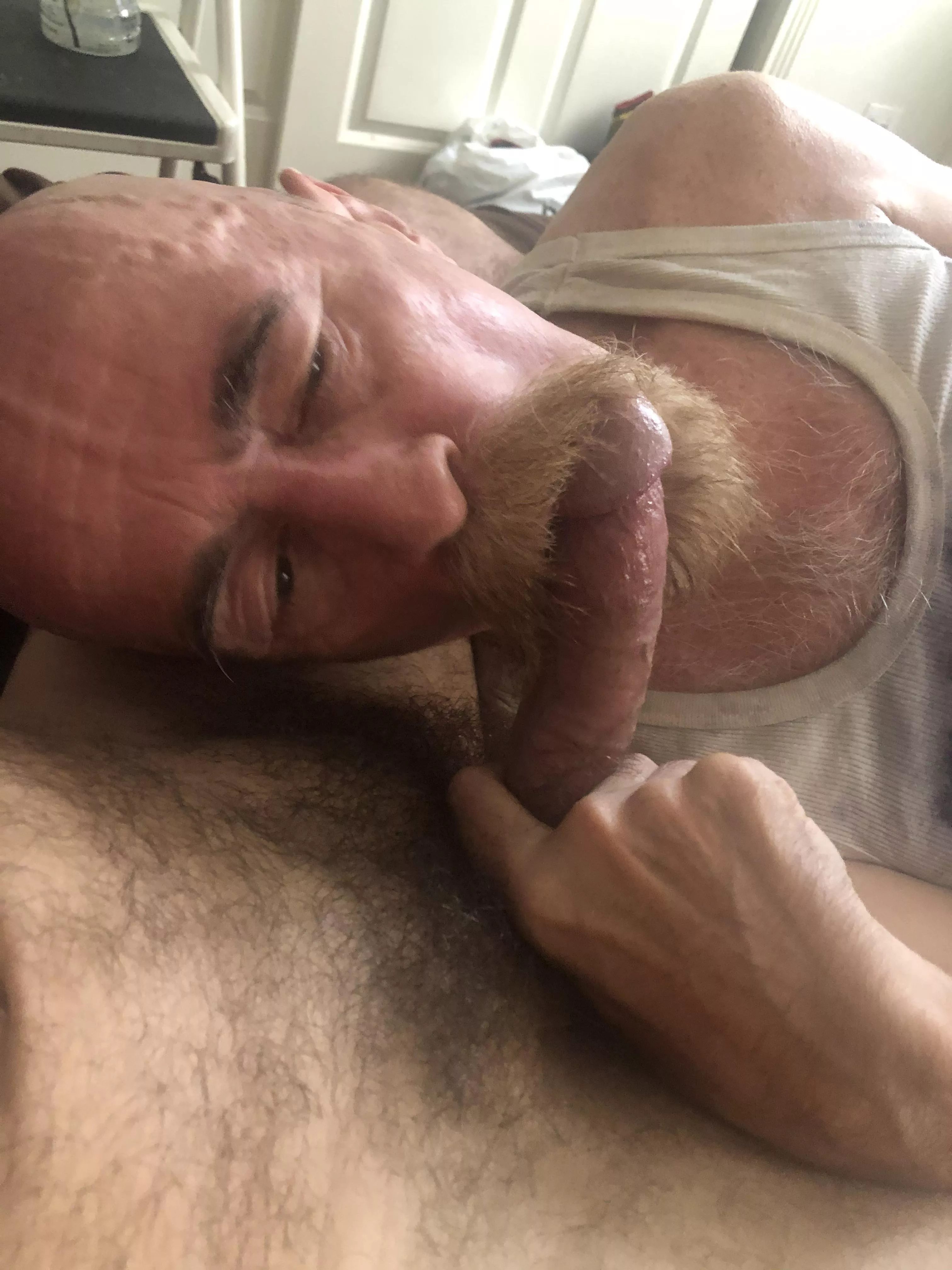 He’s happiest with my dick in his mouth. posted by Suddenly-Seemoor