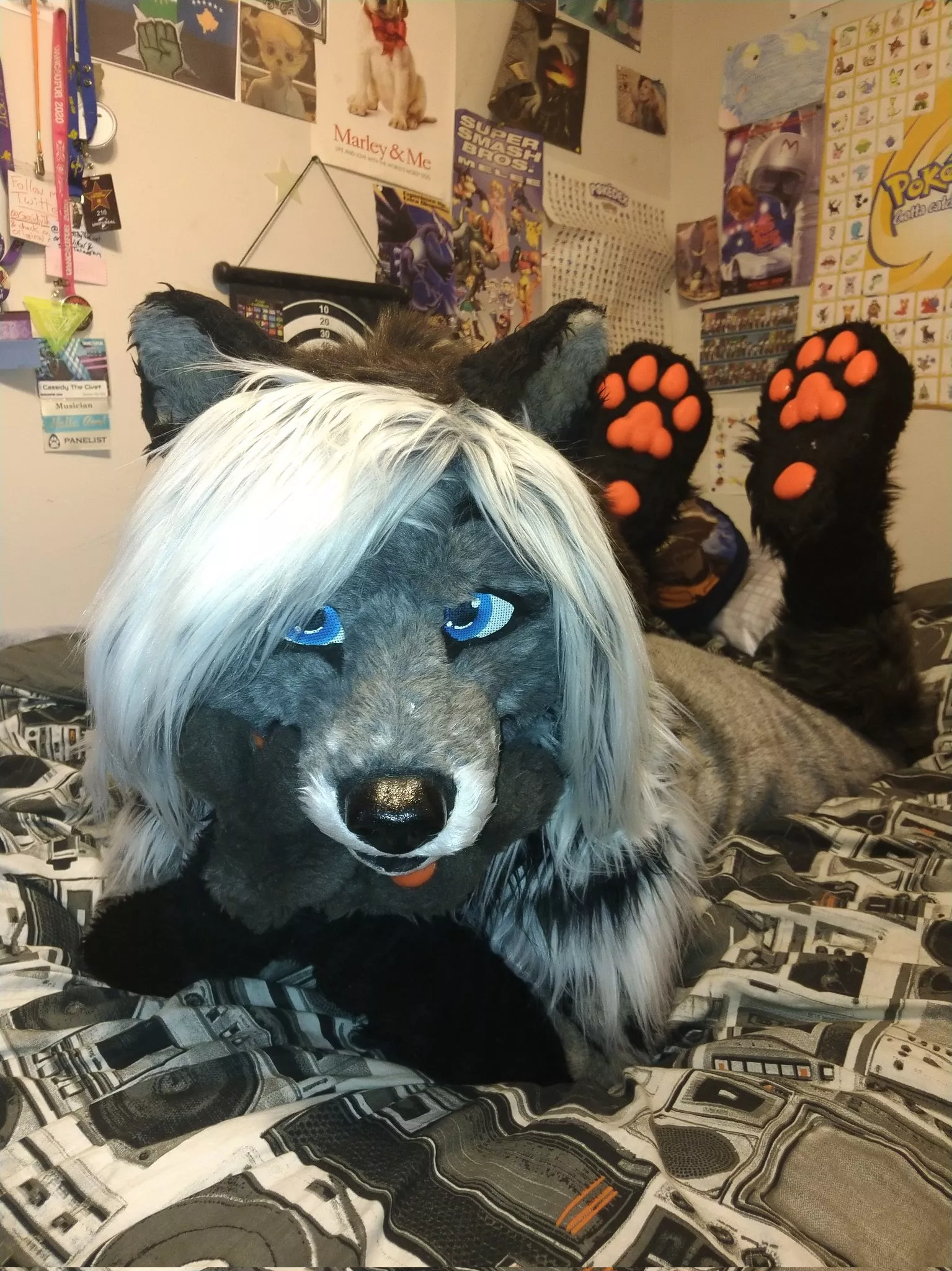 hey cutie, want cuddles~? (fursuit is mine @CassidyTheCivet everywhere!) posted by CassidyTheCivet